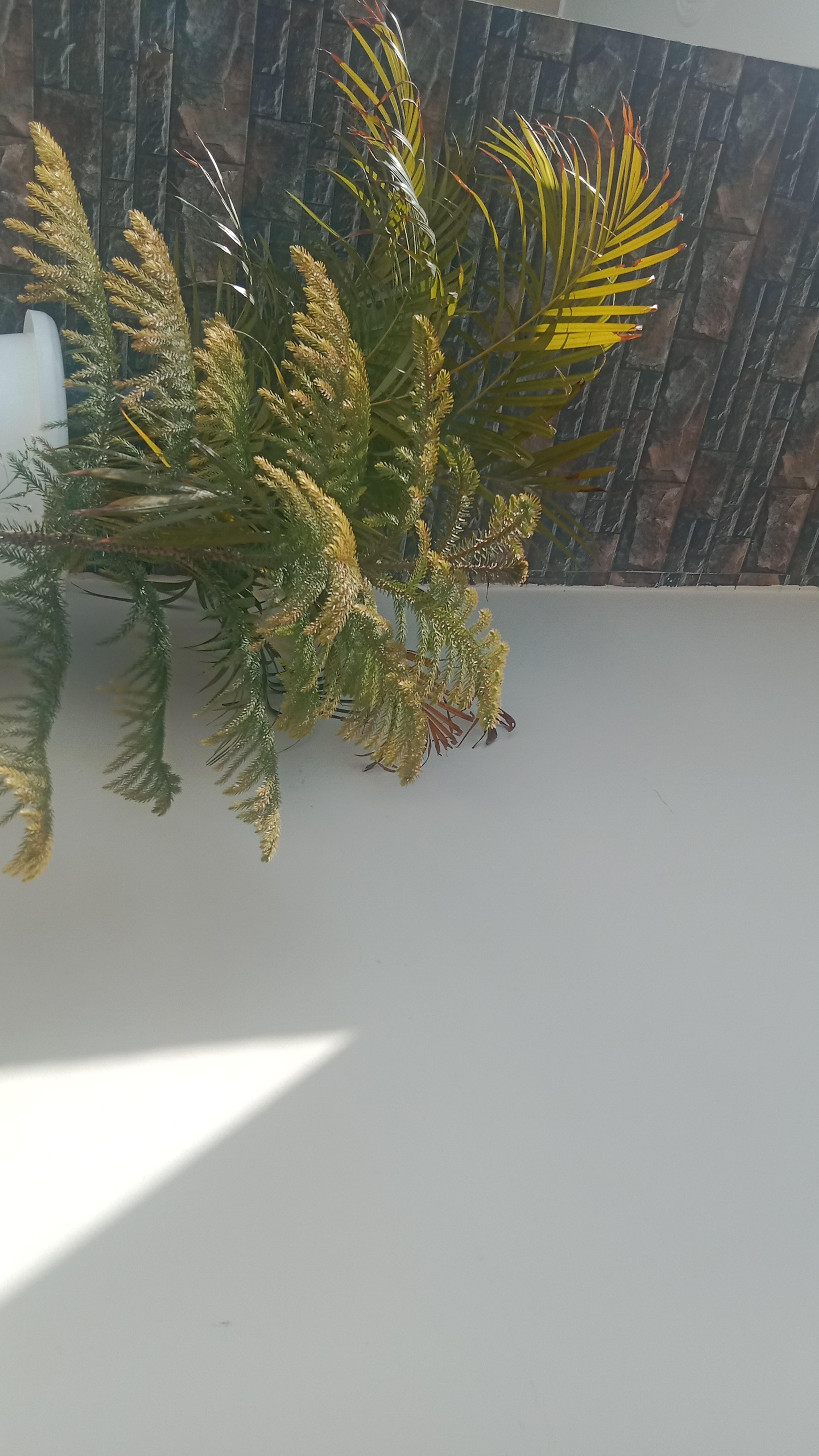 da8262db-49e6-4d9e-87f3-7aef7bc7af70.jpeg