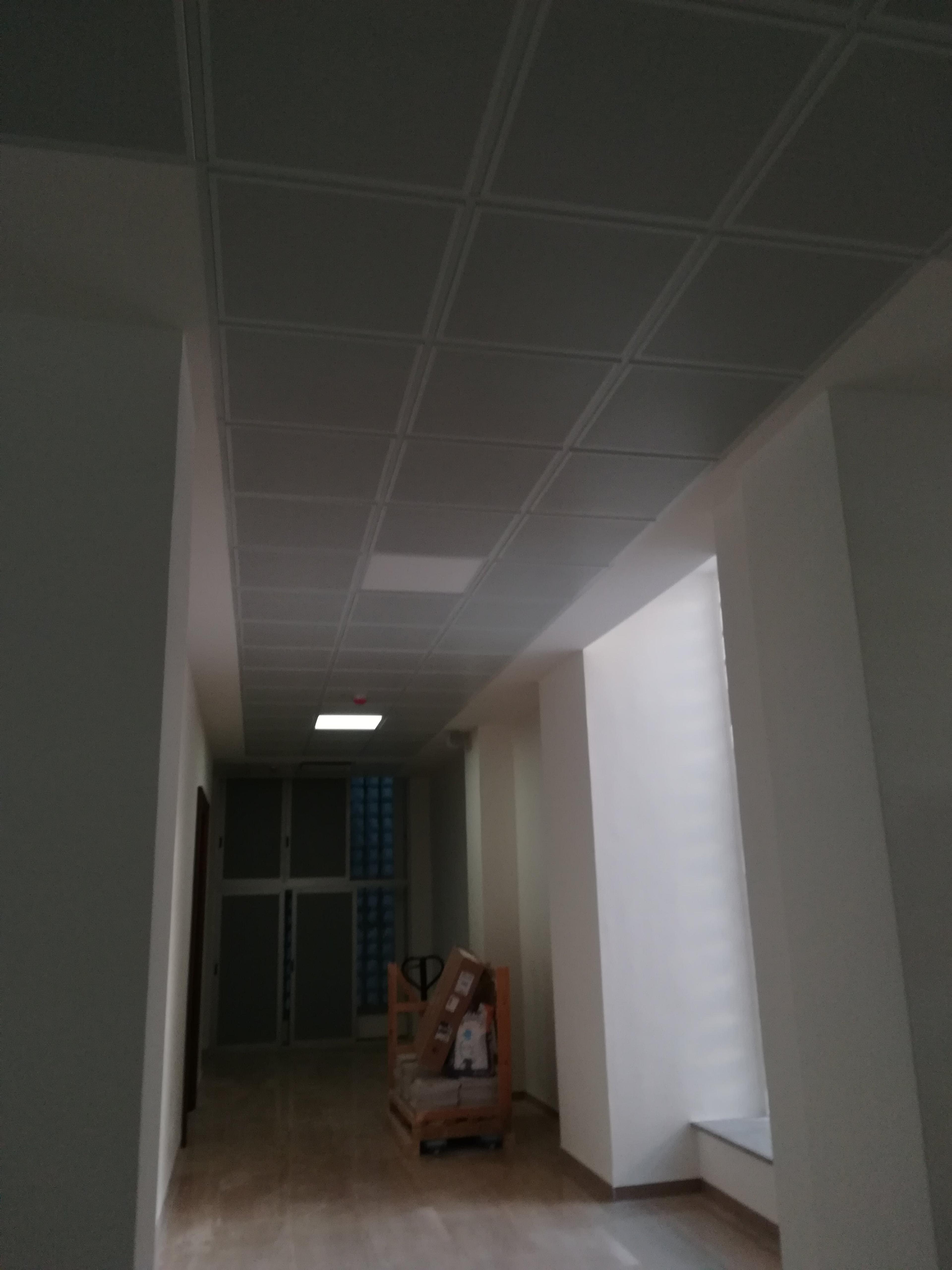 da98ff68-513d-470d-ab83-5ba5a6f0af7e.jpeg