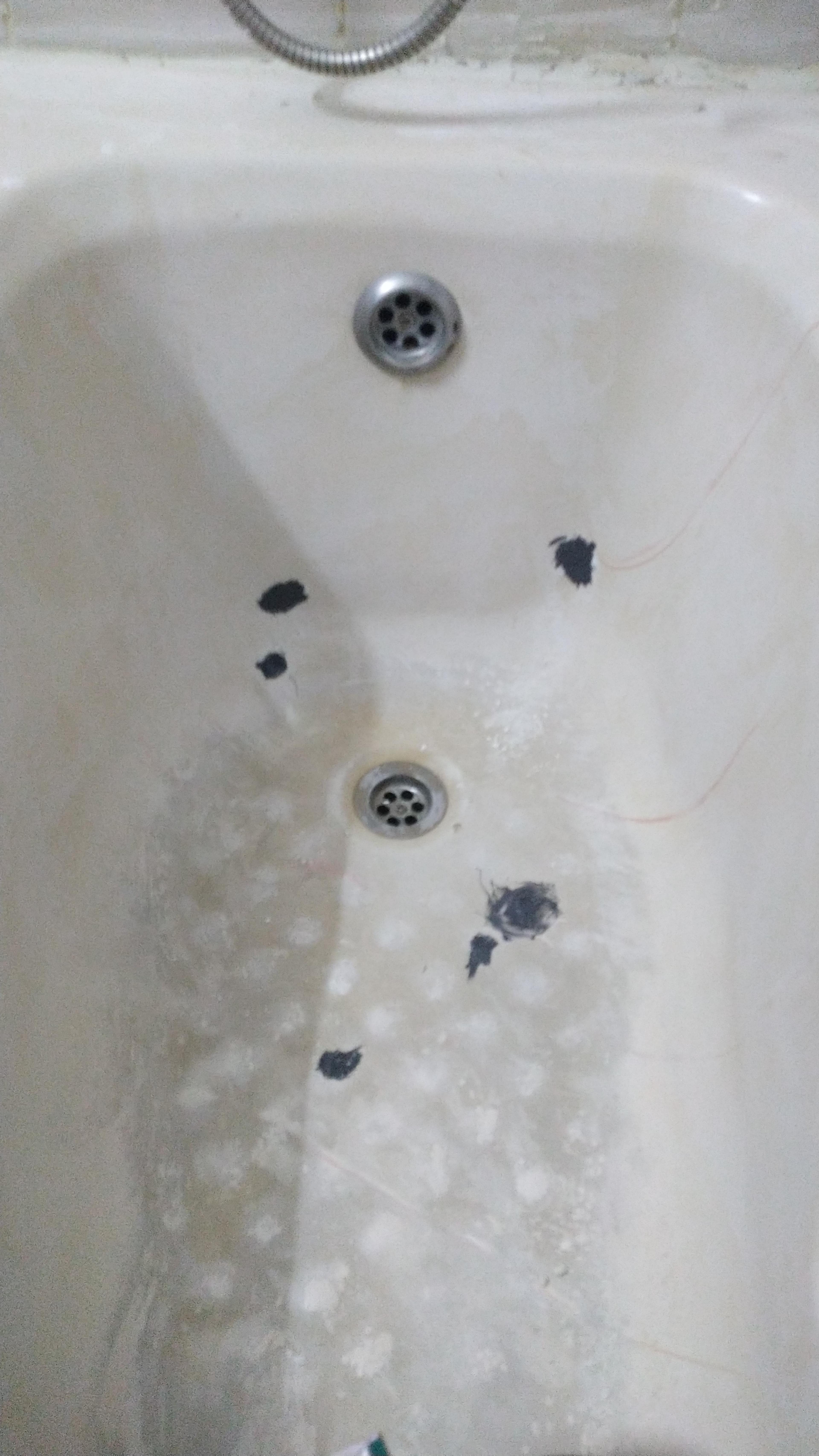 daec1b66-5cda-4f4b-9b29-f2b1eccd95bc.jpeg