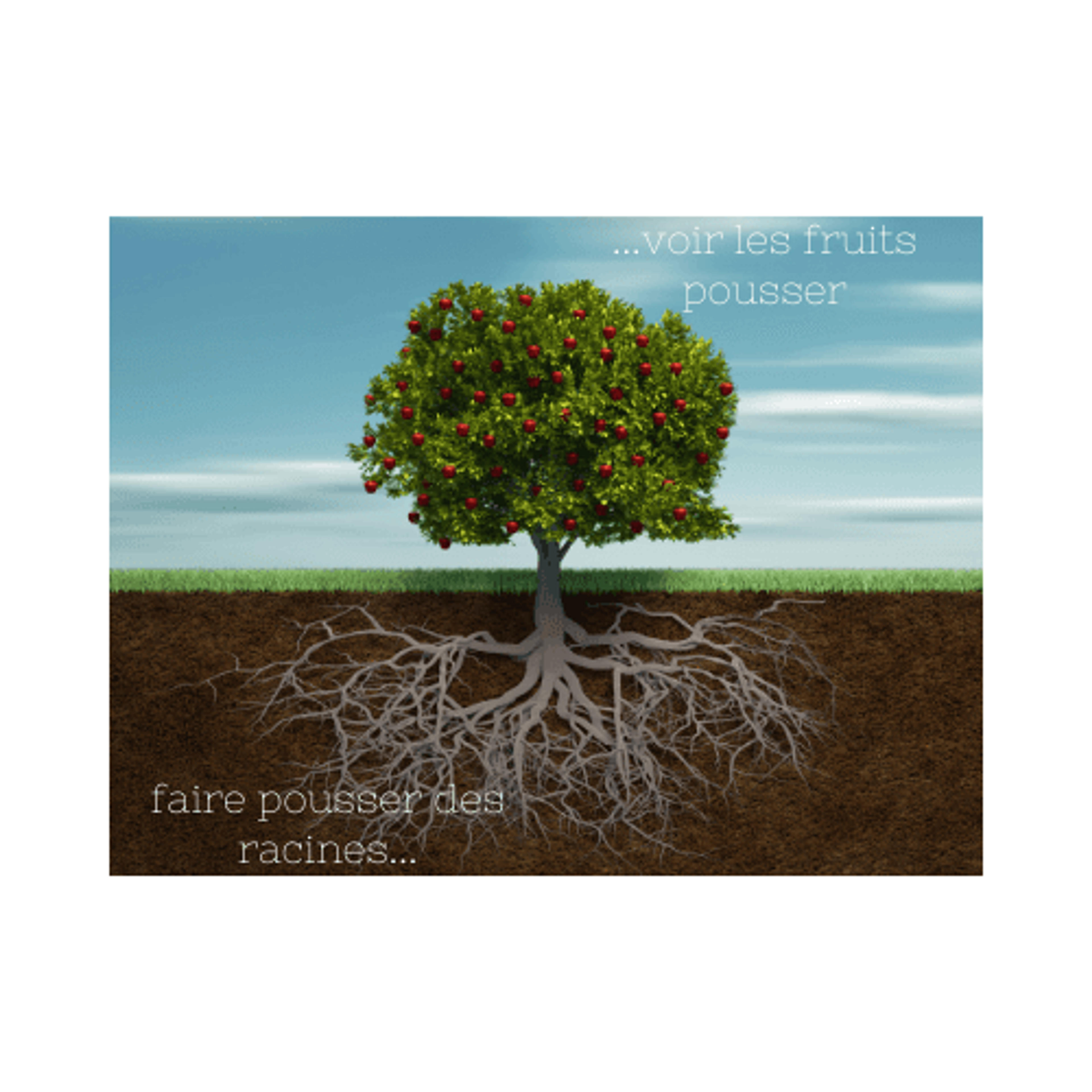db11350d-681c-452f-8549-d70fe100bac7.png
