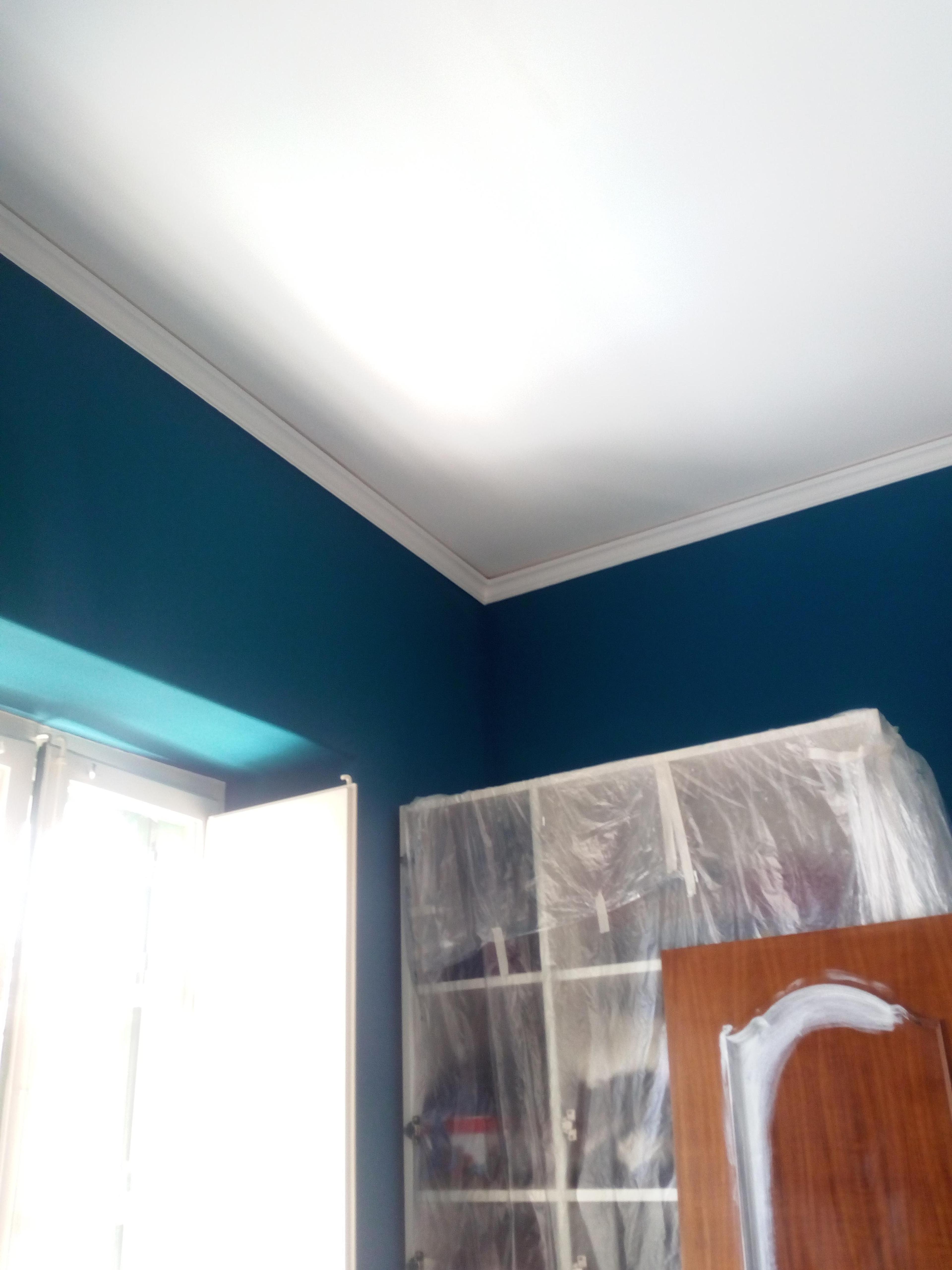 db19e500-8846-496d-ad70-9542e030b14b.jpeg