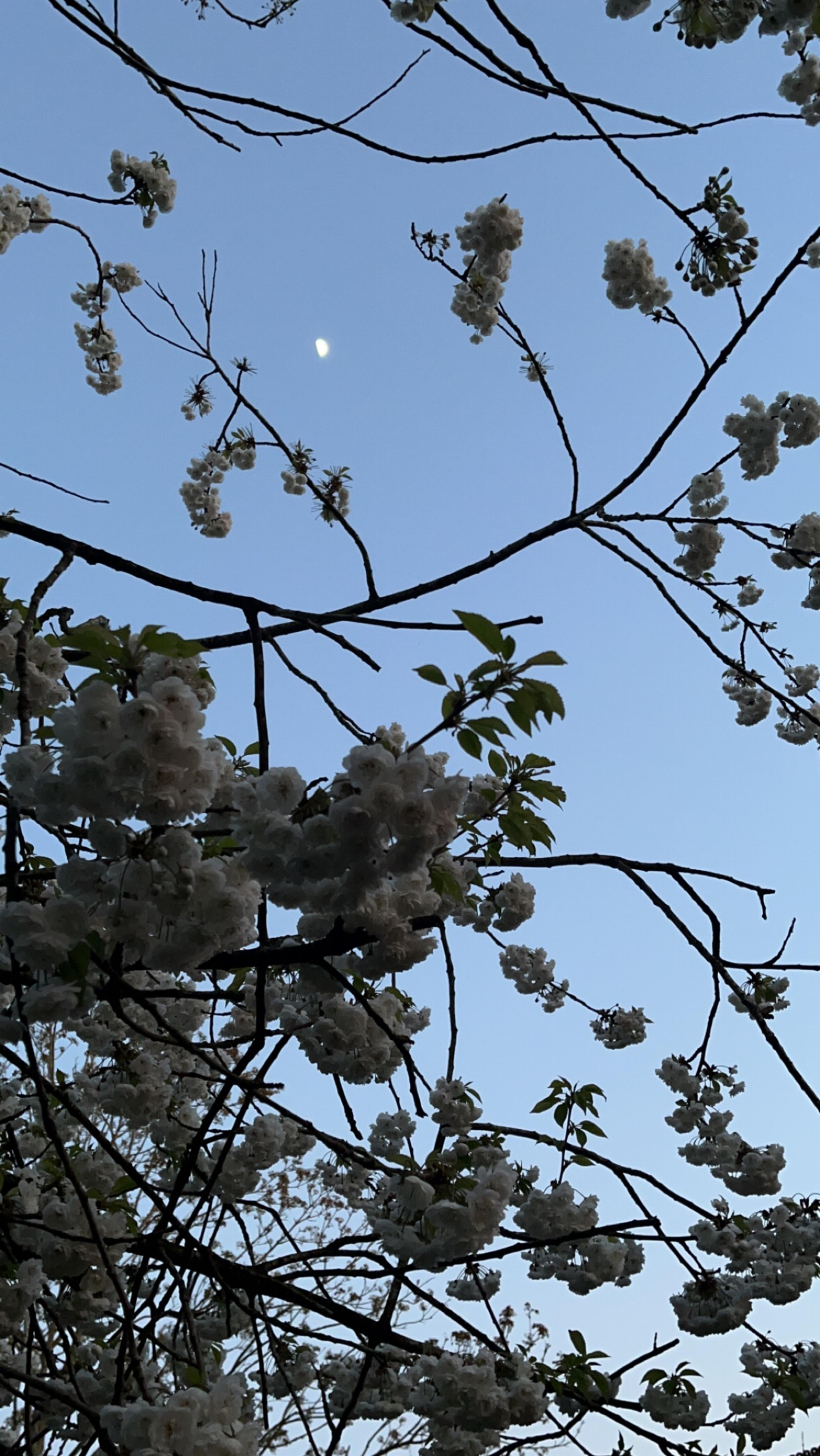 db8bb6a5-4b7b-4304-a78e-b71532d76136.jpeg