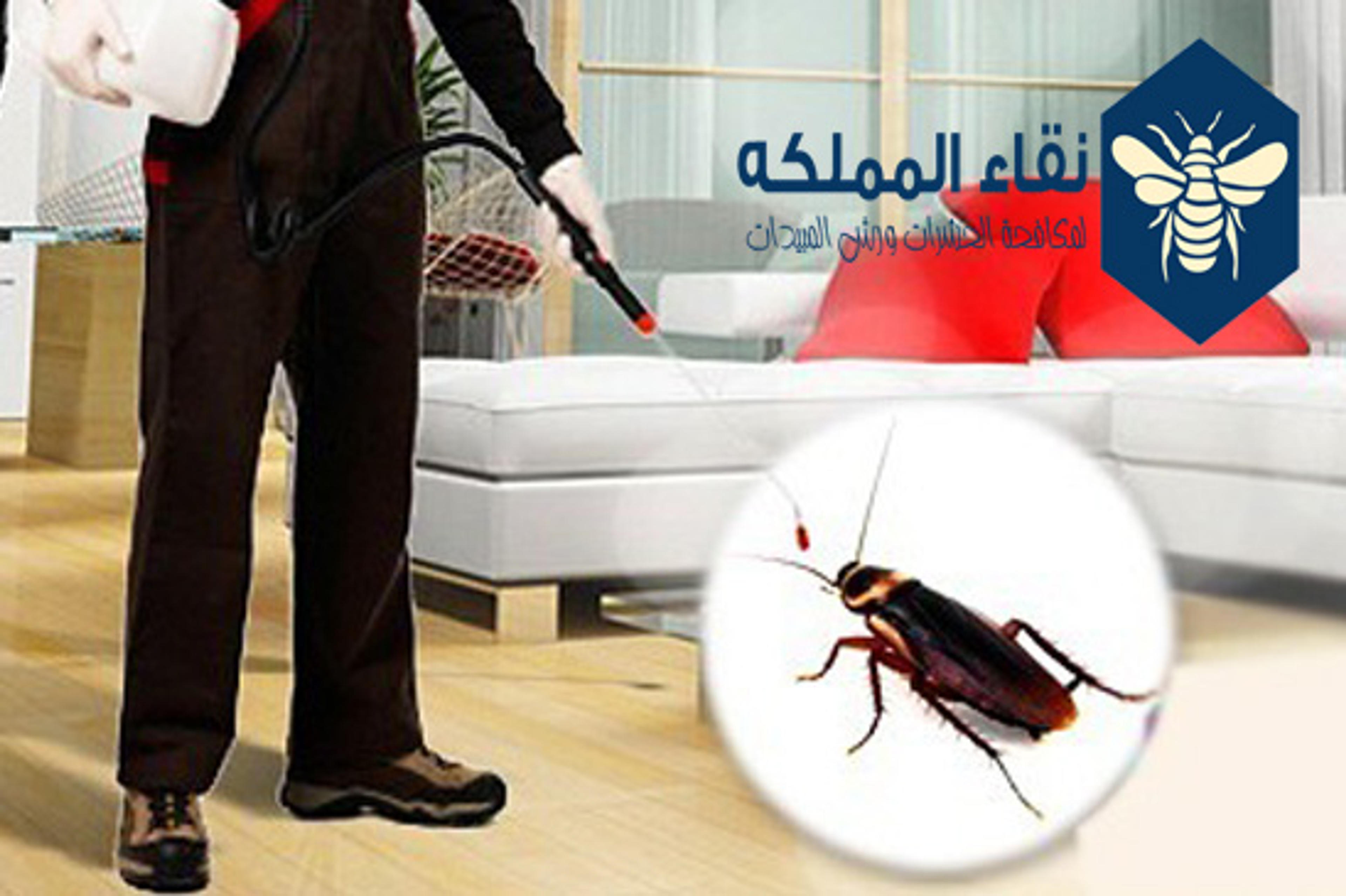 db983e2e-07b6-41cf-8b34-d0a1a3a9724a.jpeg