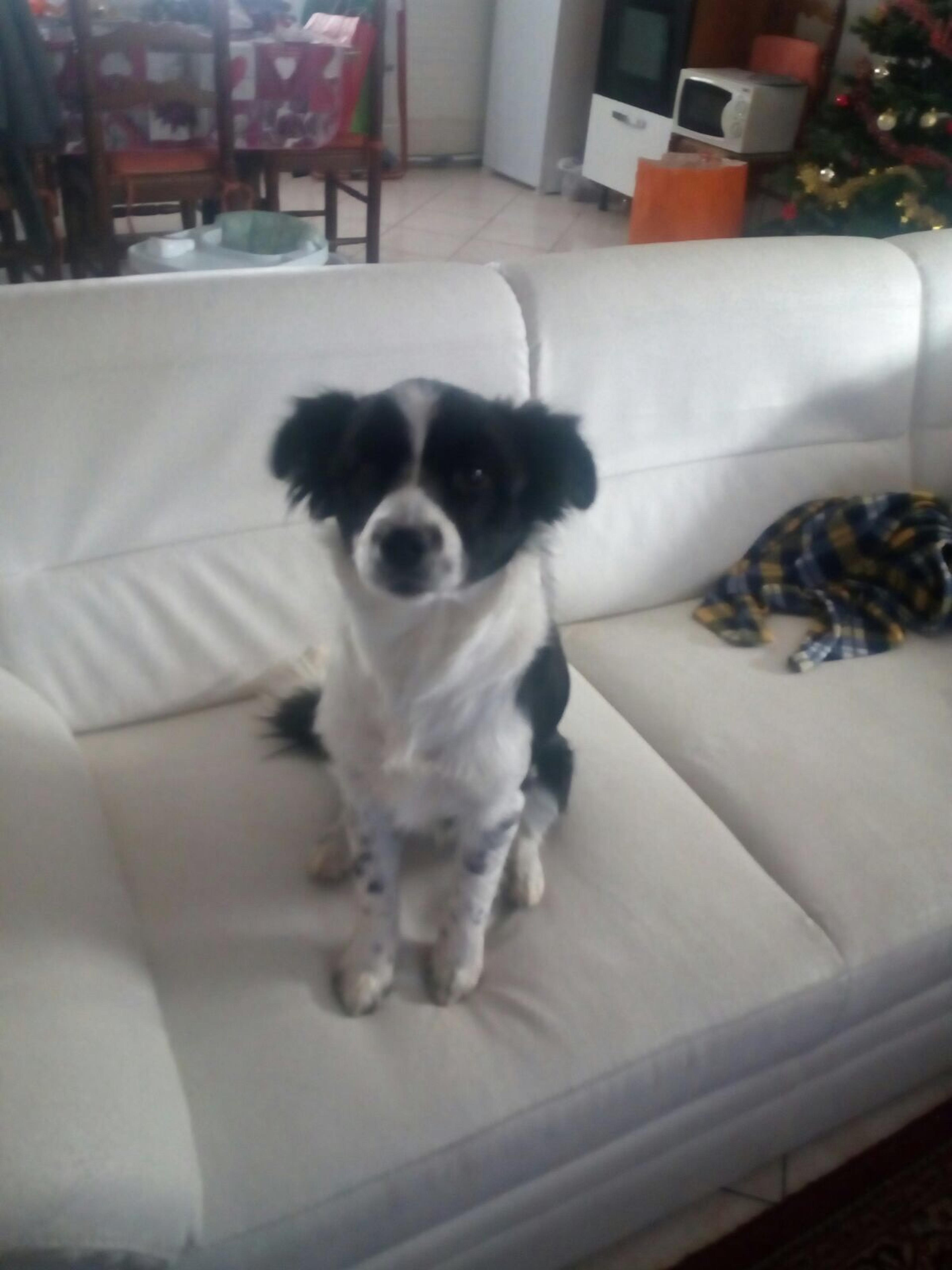 dbbacd4f-b24d-4ad3-b65f-9e84753a18e5.jpeg