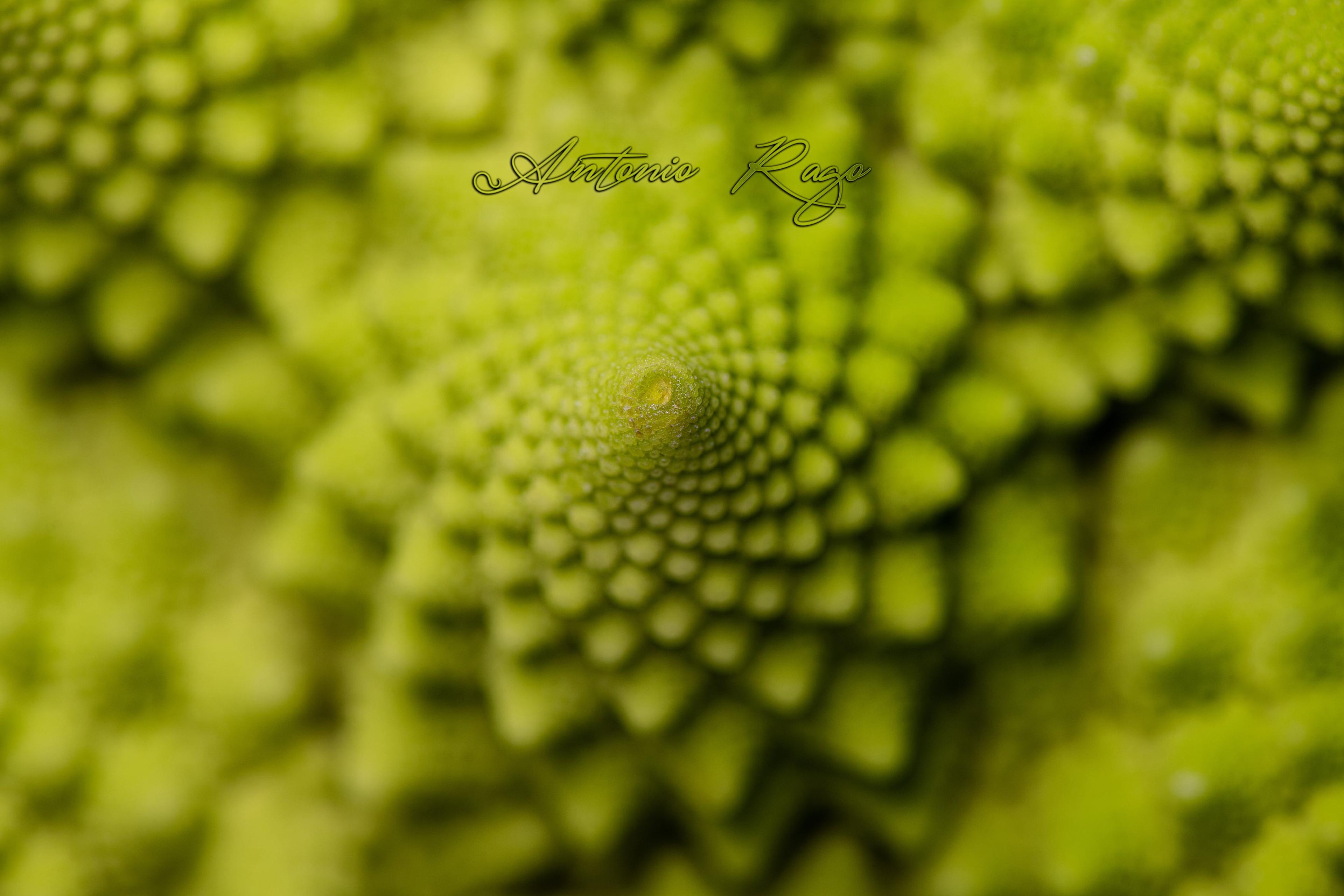 dcd38bc9-c308-47bd-977c-847c63713a77.jpeg