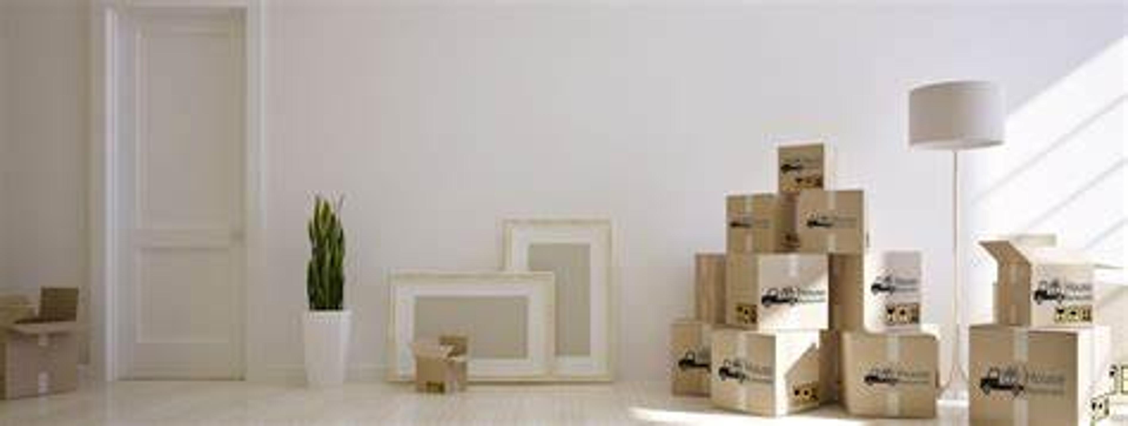 dd05d929-d2af-4021-8fe5-86160de81b71.jpeg