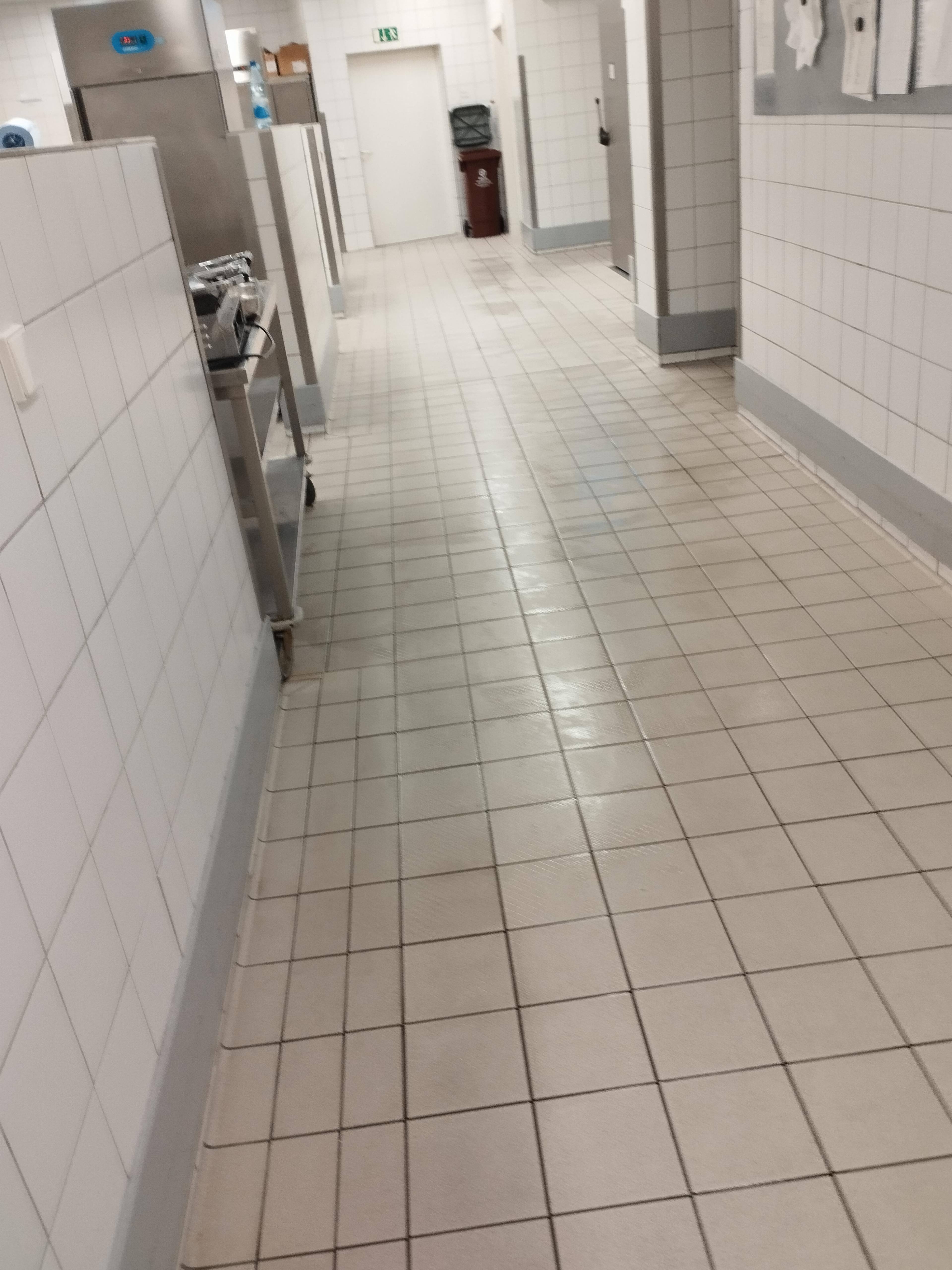 dd47deb9-f6b0-464d-a19a-adeaa6310317.jpeg