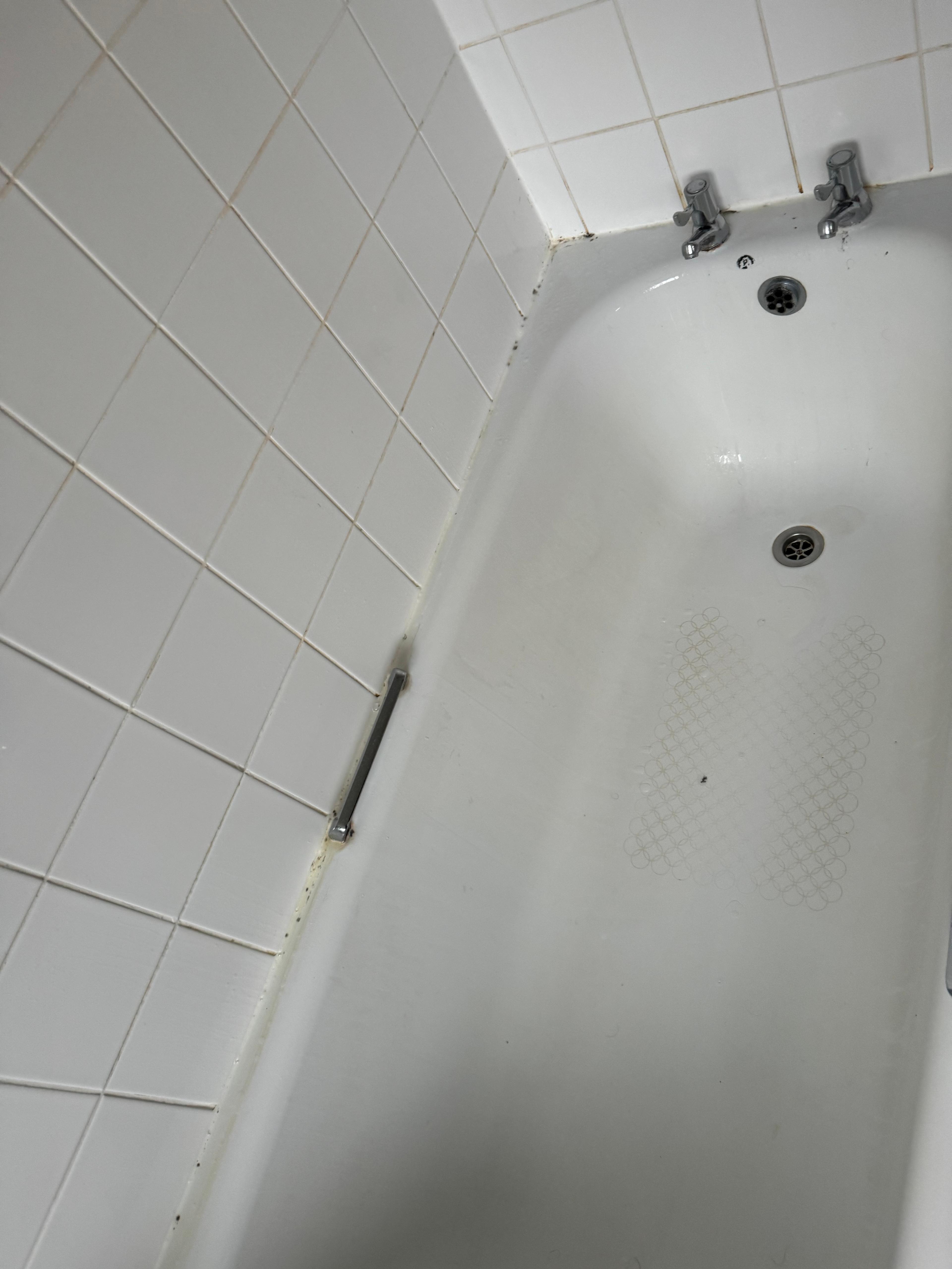 dde9e445-5a37-4b3e-a085-b3ca68726ded.jpeg