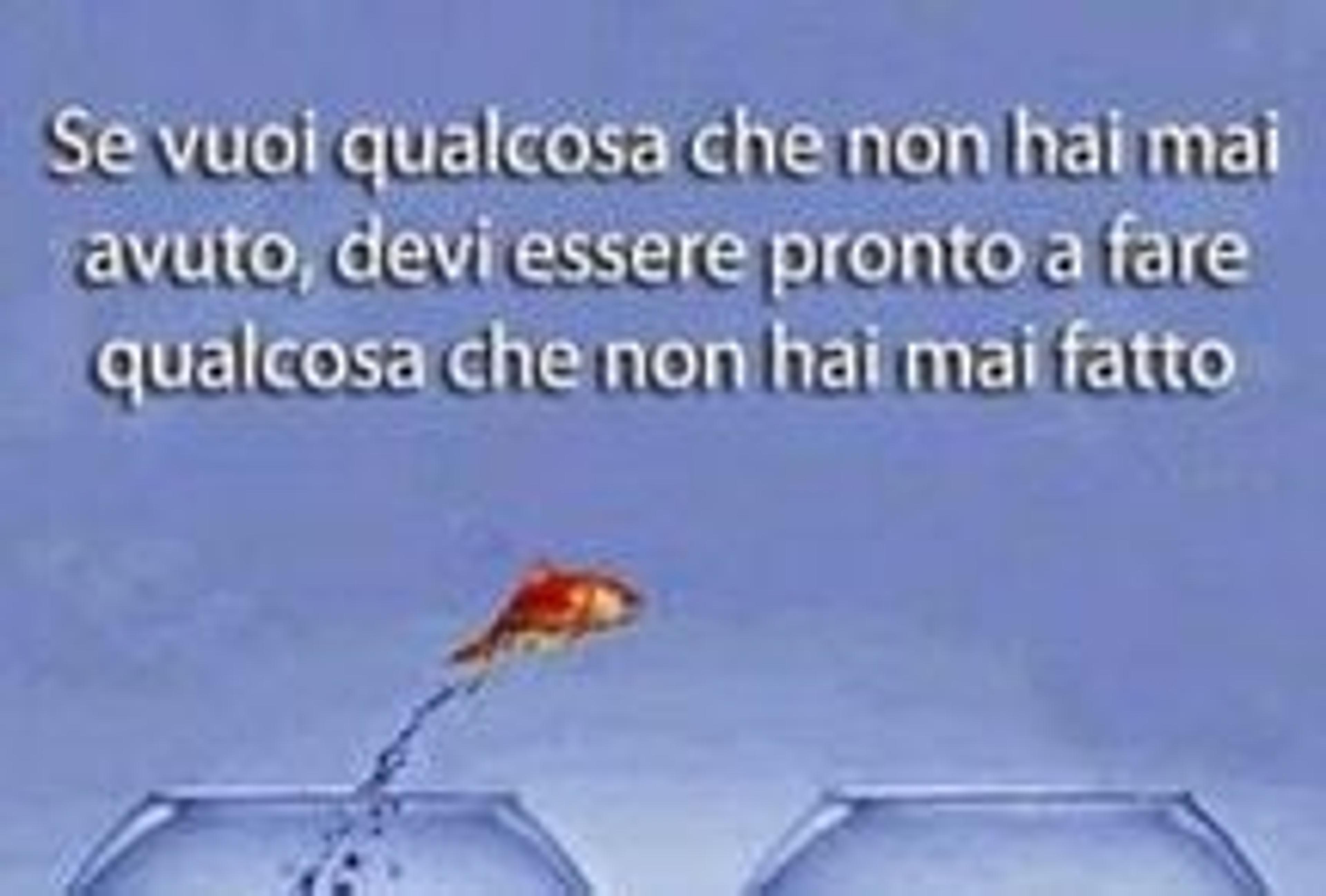 de21f727-337f-47c7-9390-43dfac4c0837.jpeg