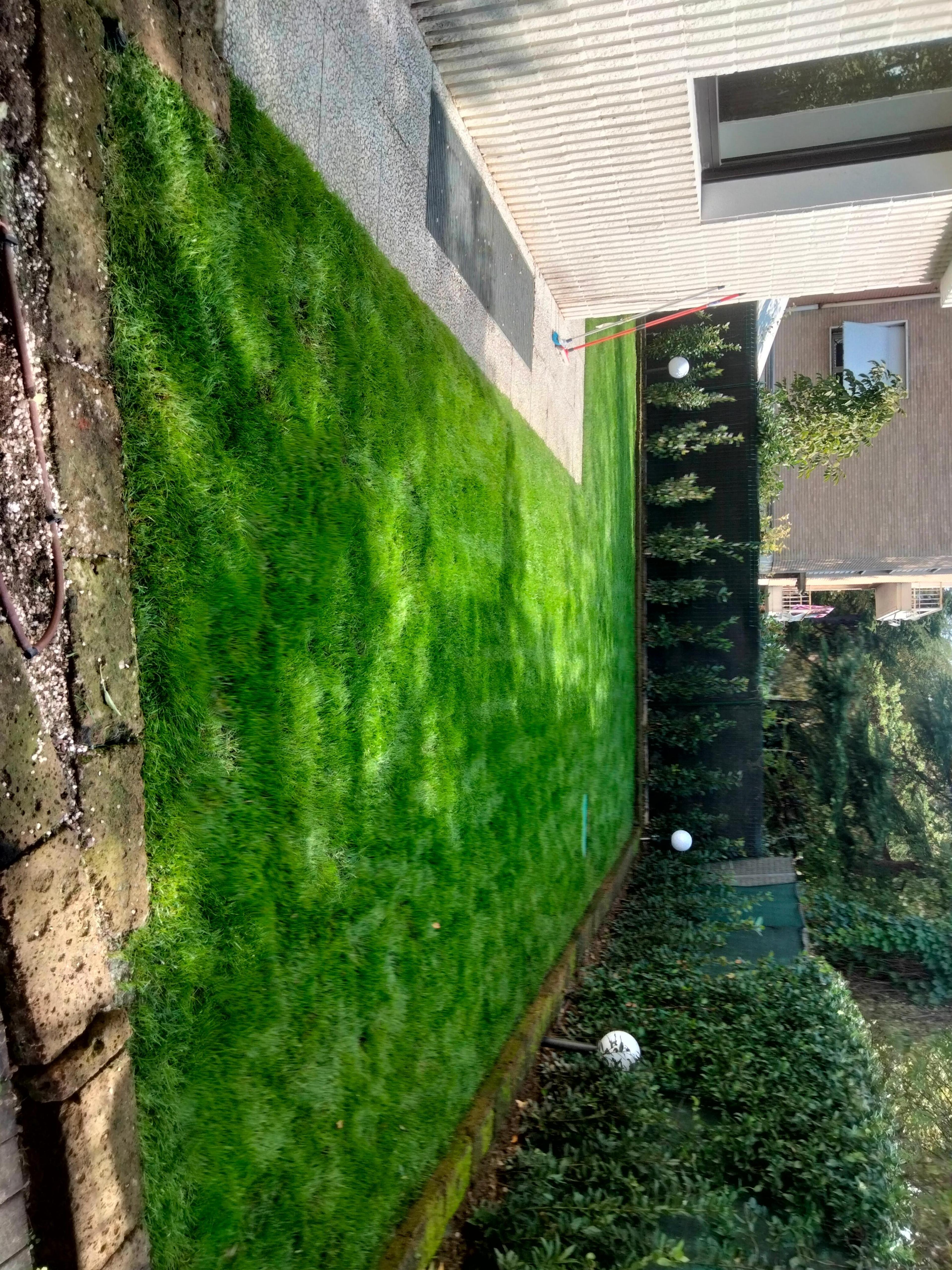 de429990-4383-4061-b197-aaf505664379.jpeg