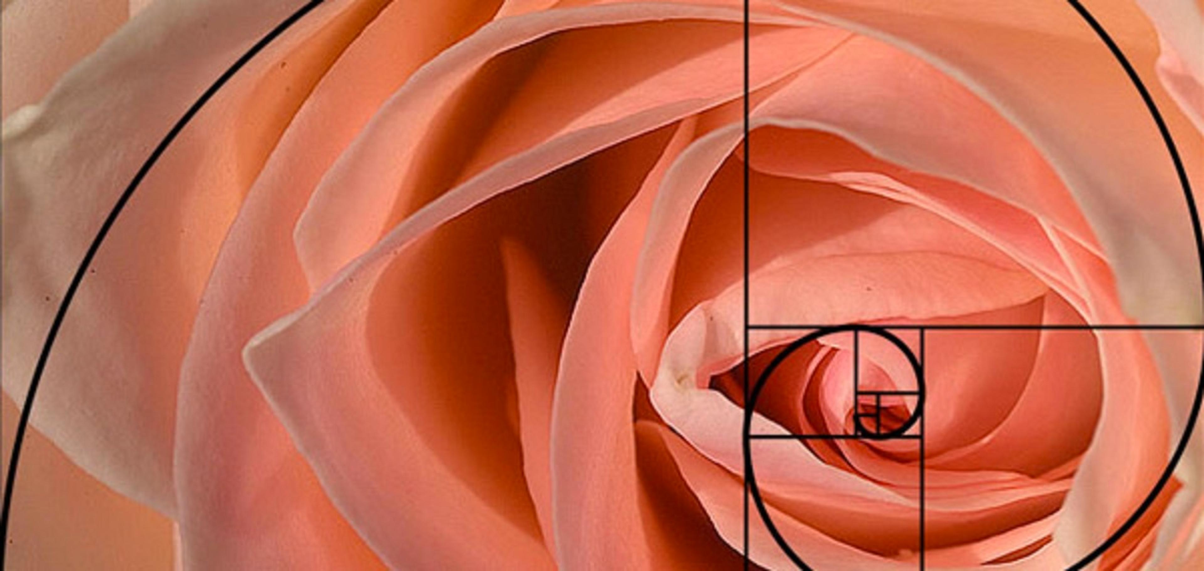 de7366ab-a10e-48d6-b5ab-79cfc9e7003b.jpeg