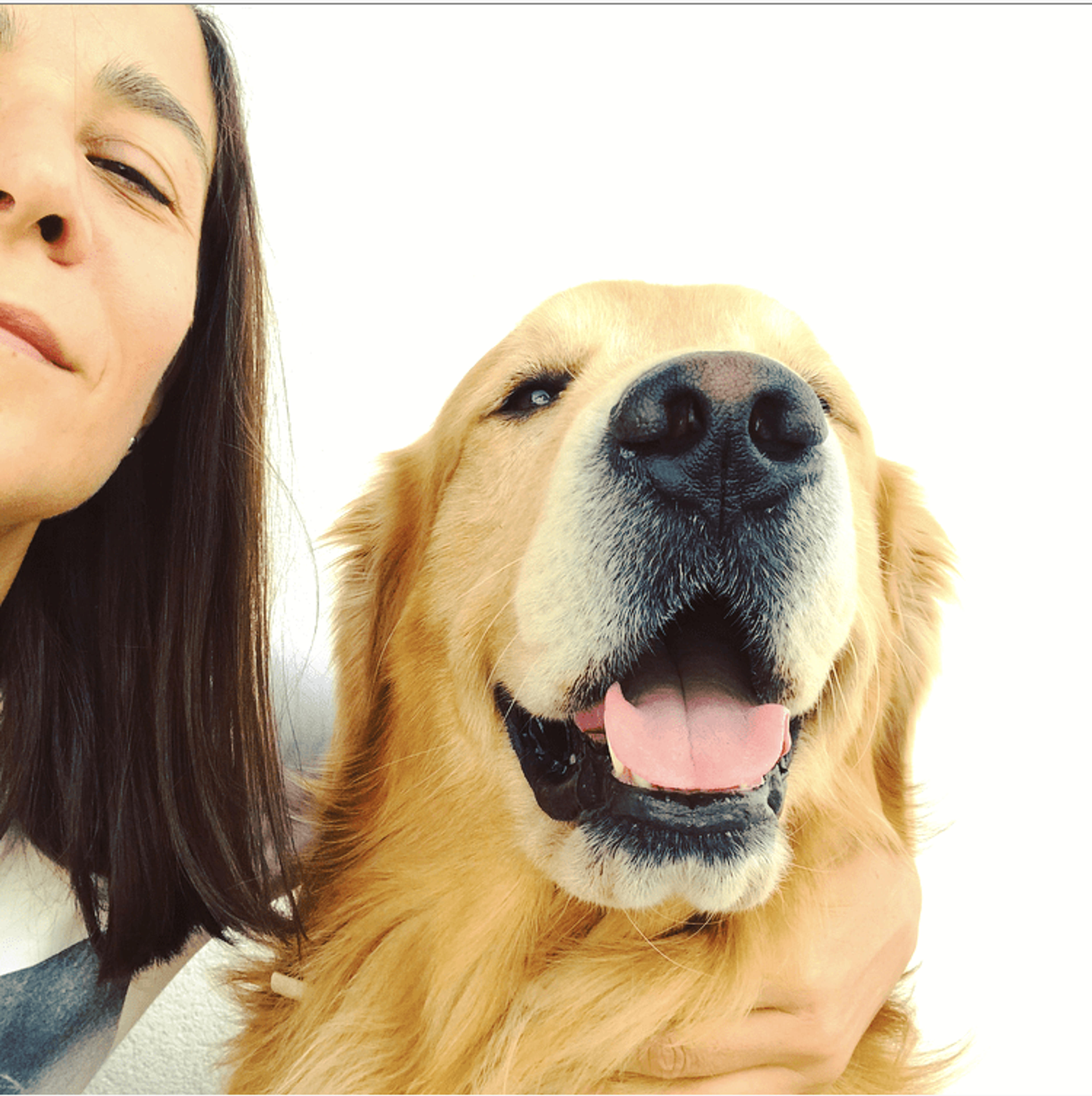 df56f133-3a82-4ae3-9a07-c0857eb0ed46.png