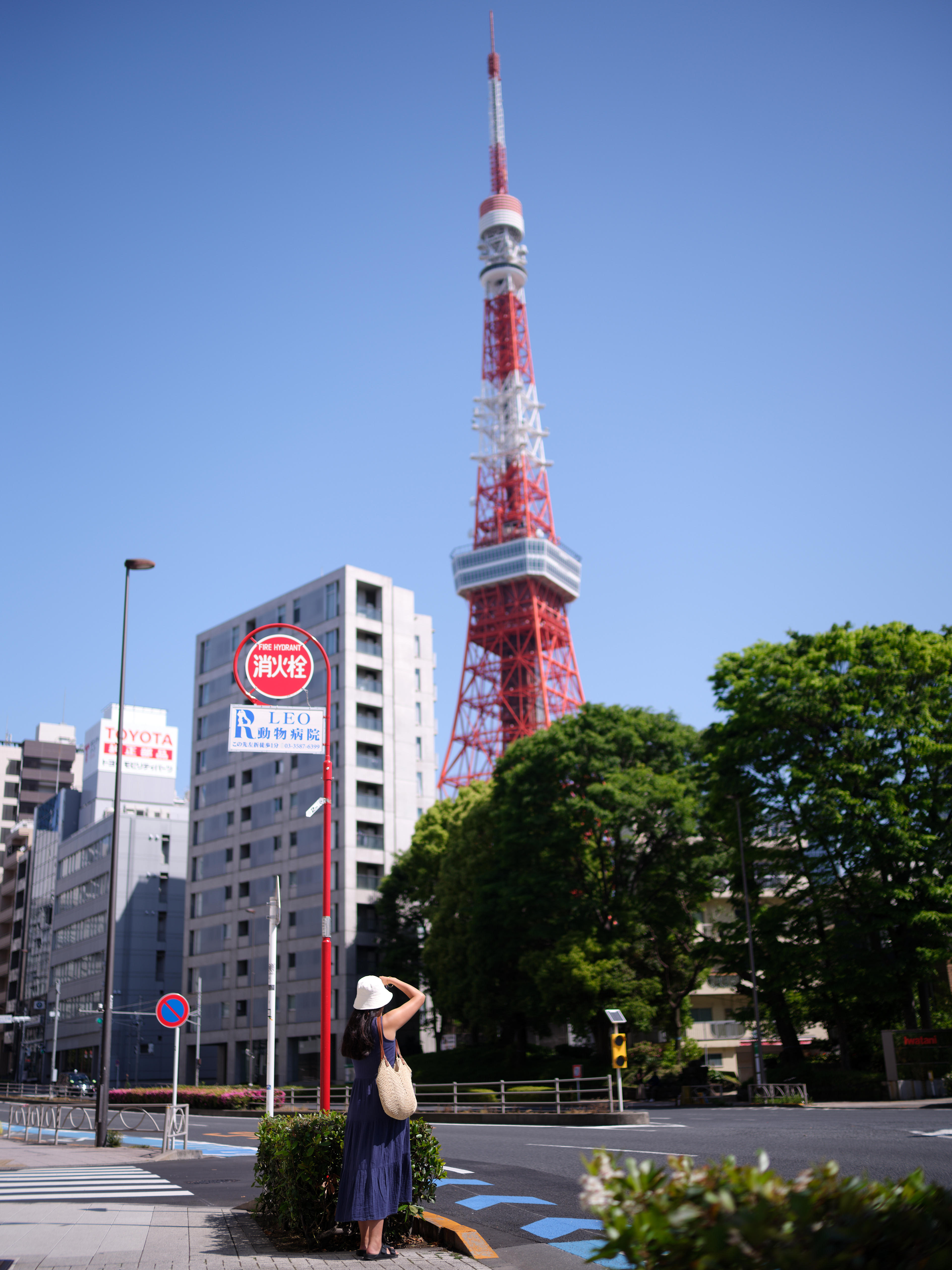 dfb80d44-333f-4c42-bae2-6bb6e3acde10.jpeg