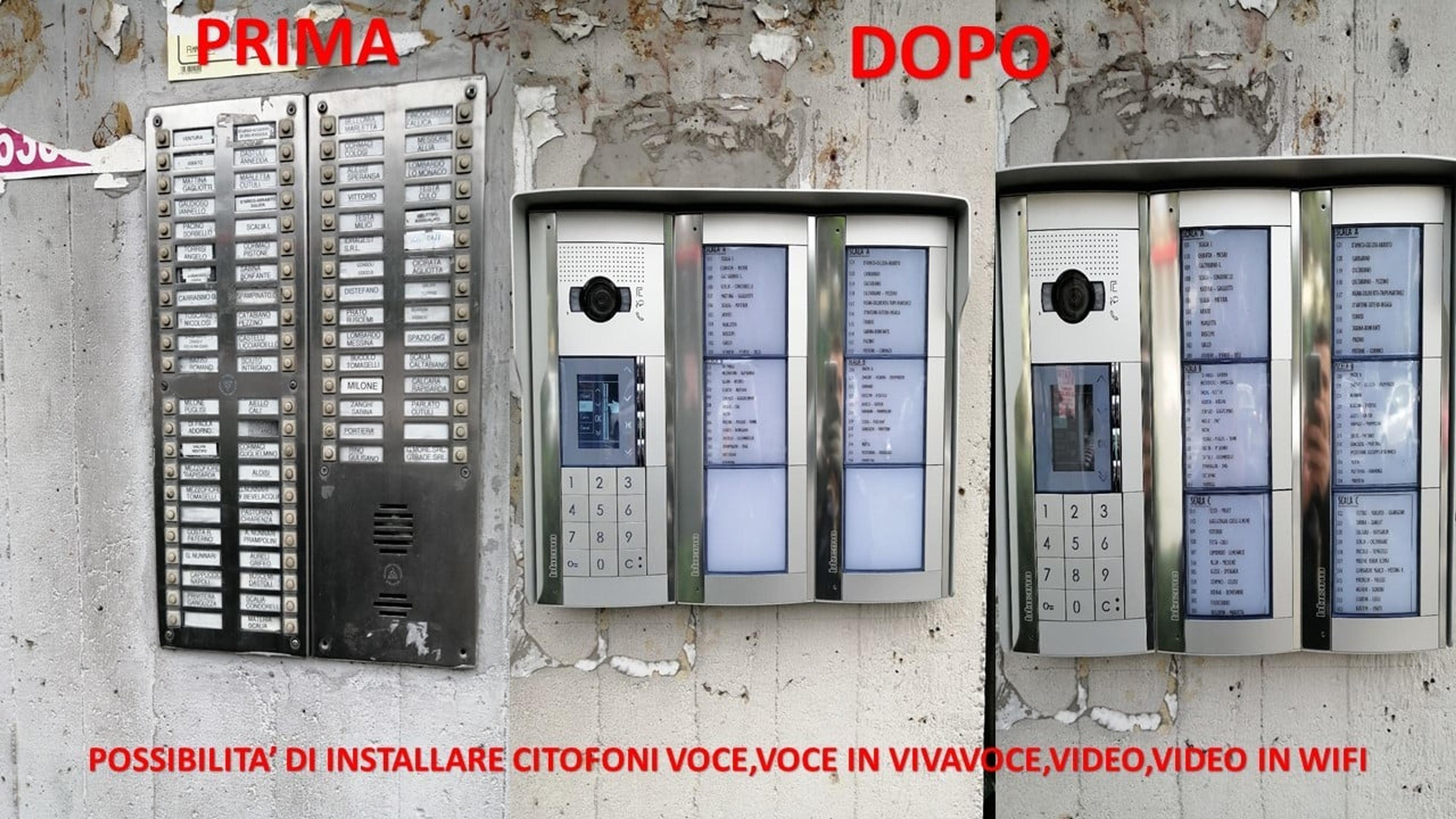 dfe09f9d-c5b7-4013-b675-2a0e490dd89a.jpeg