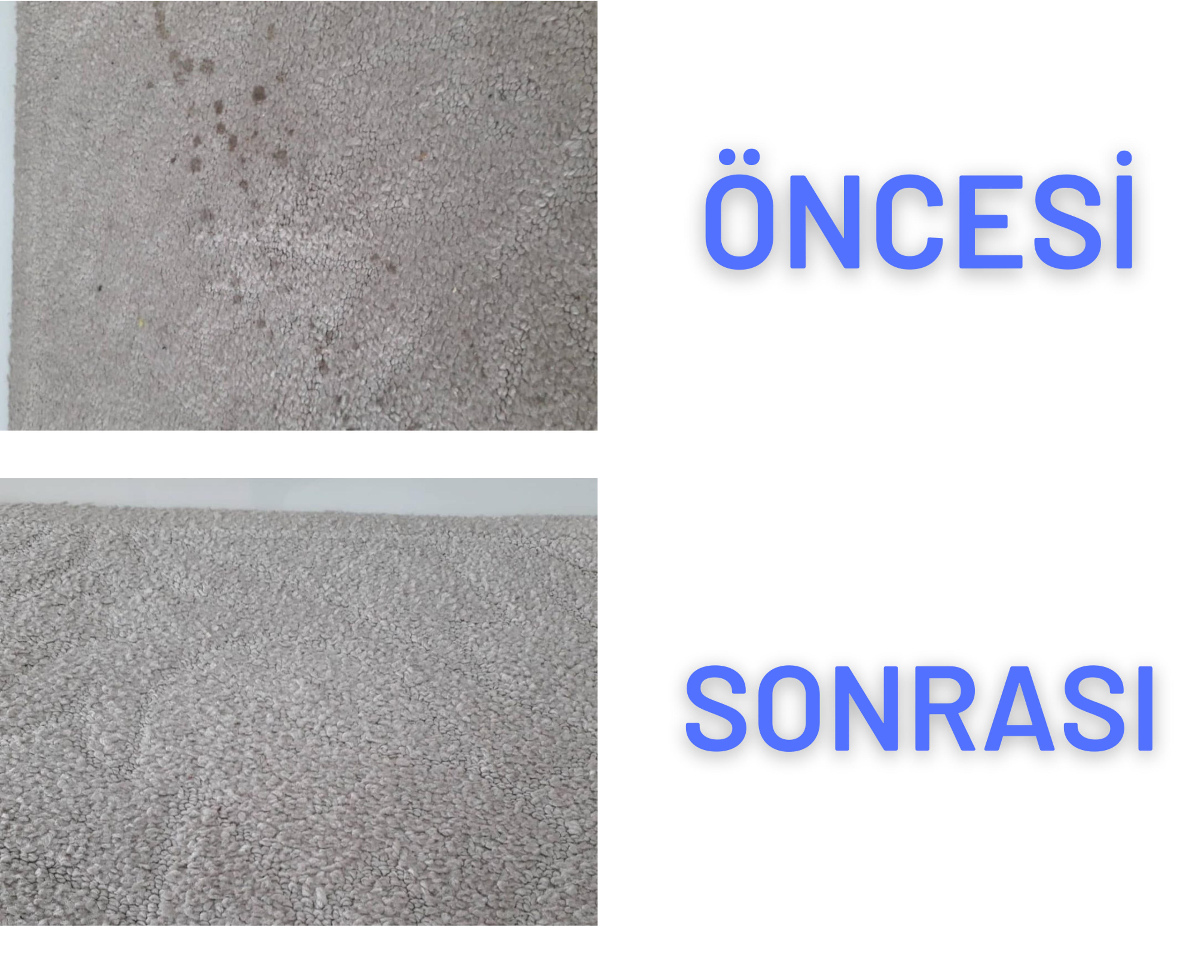 dff406e5-609a-470d-9c9b-123eb248dc70.png