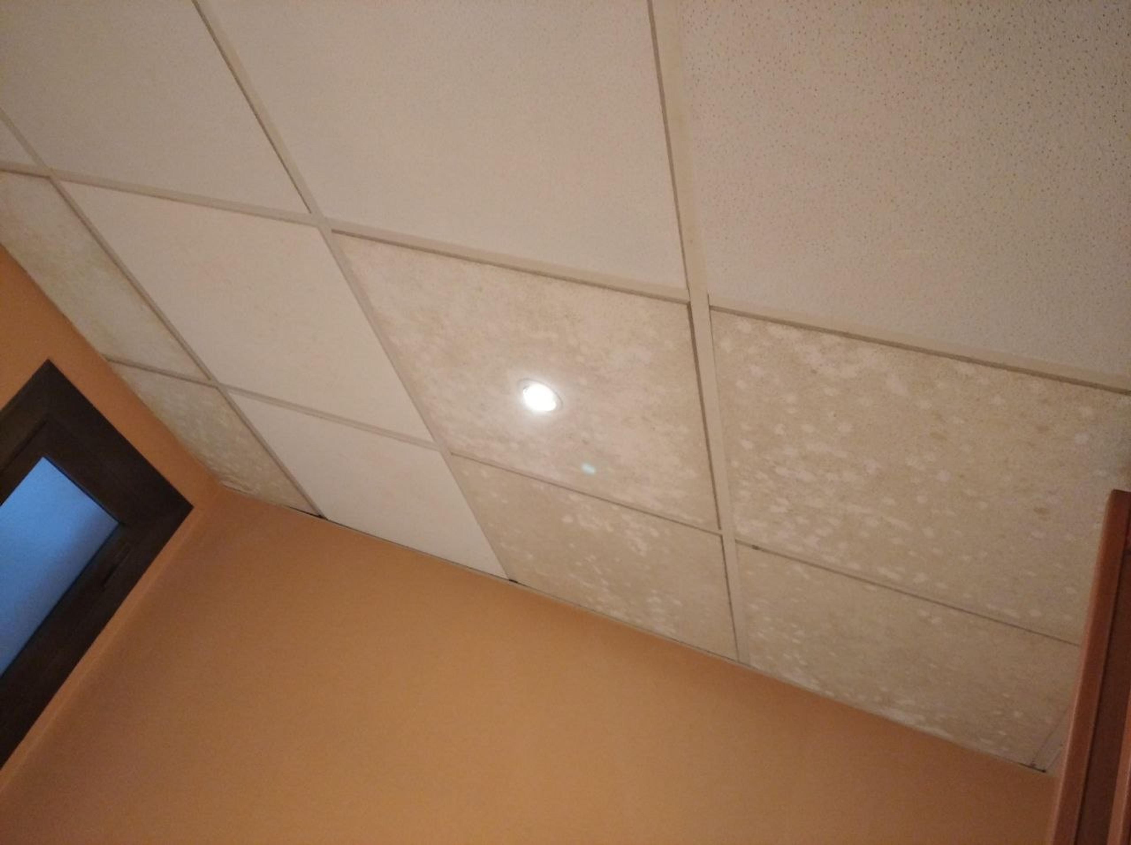 e03989f0-d866-473f-91c5-bab31499fa95.jpeg