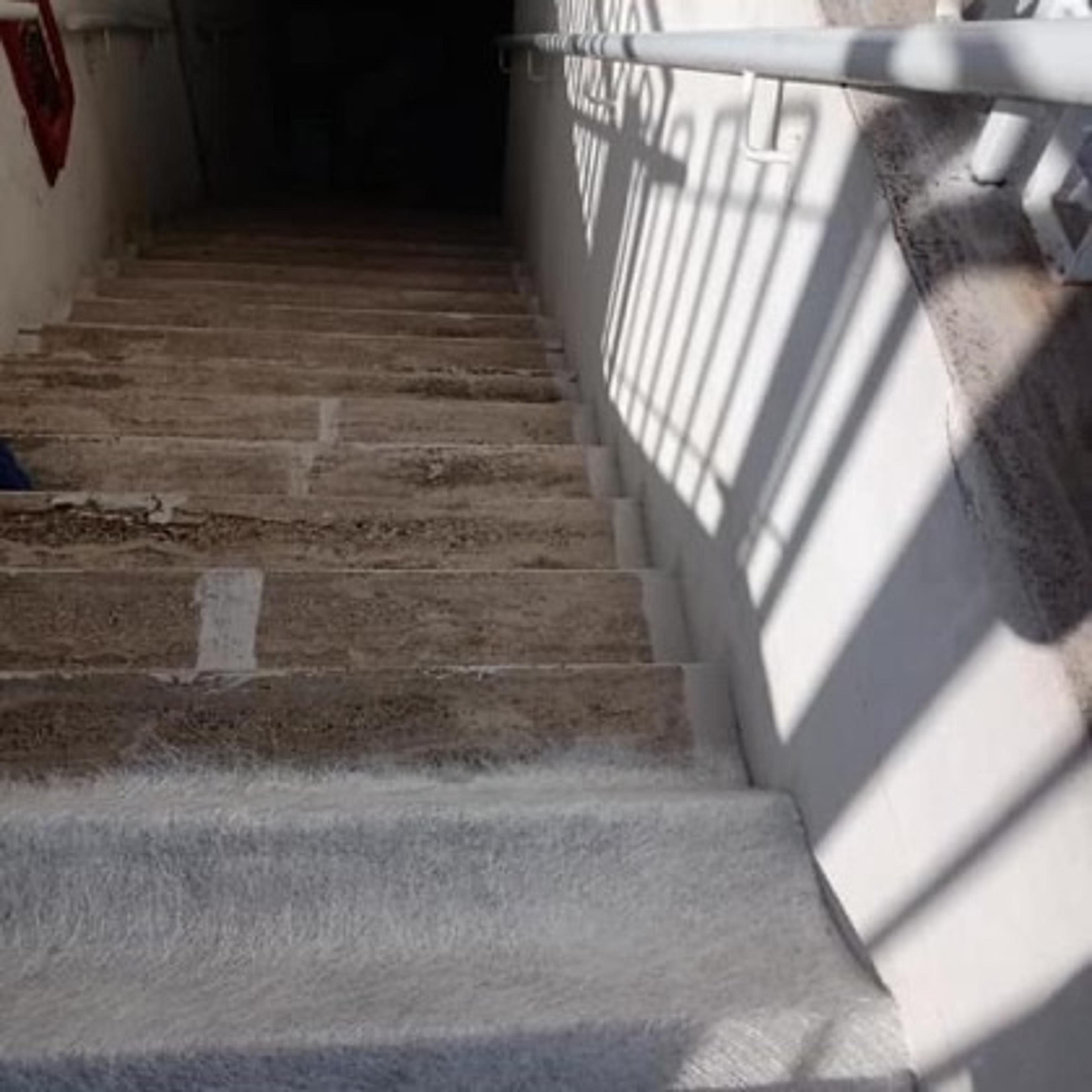 e049d1bf-1826-45de-8bce-2035b1d2a360.jpeg