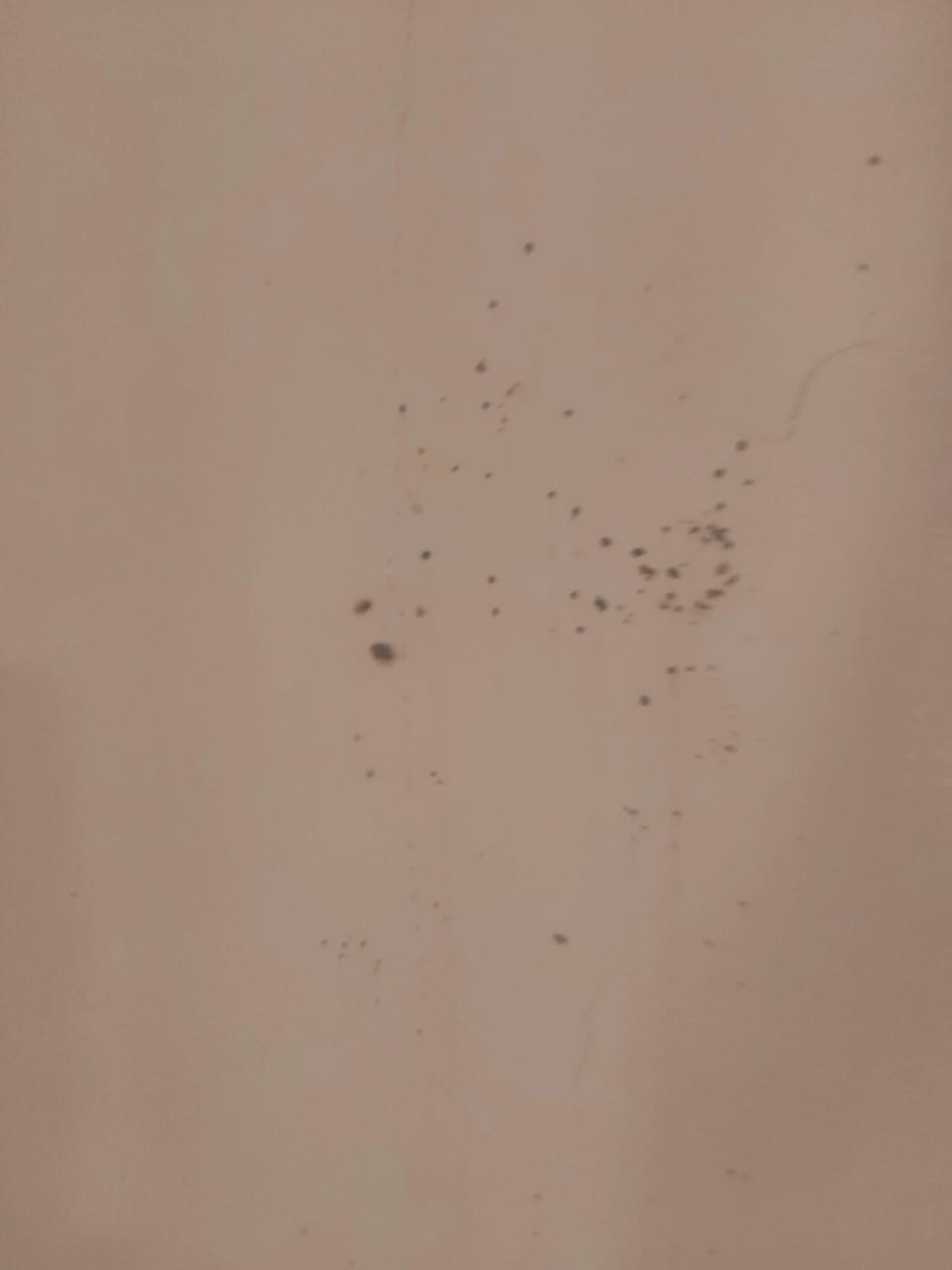 e0757993-7570-46e8-9a2e-99ca6eaa2c7b.jpeg