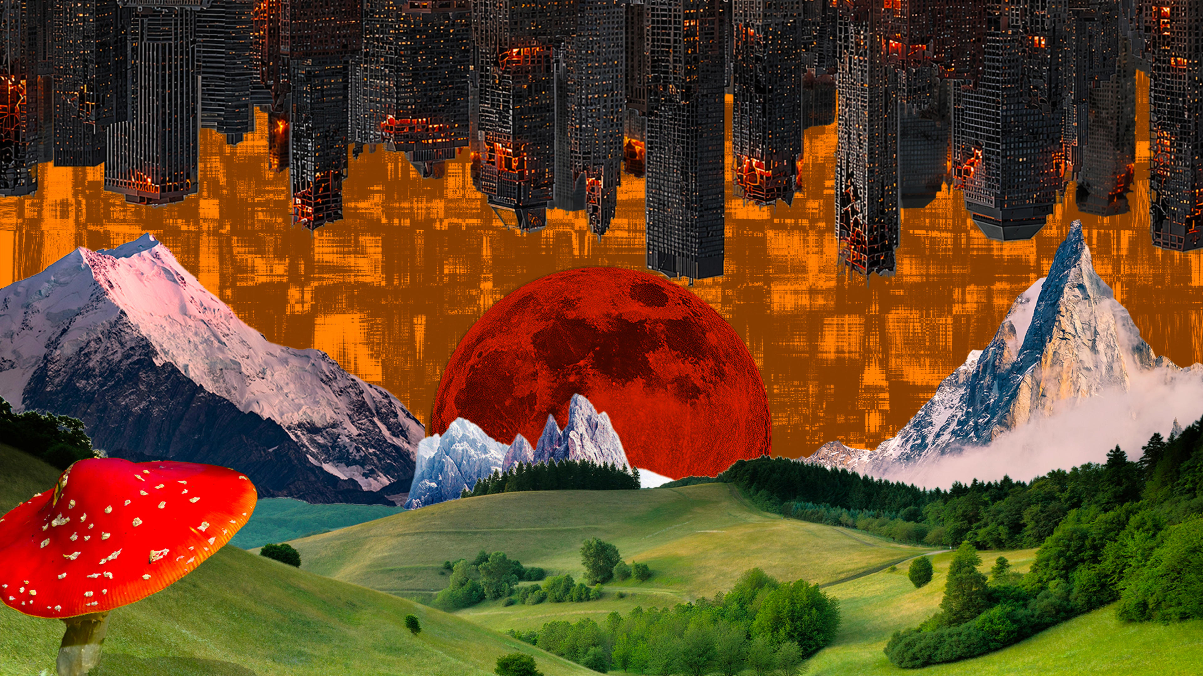 e0d6cf69-dd42-4c7e-bef2-eb23e08b36f1.jpeg