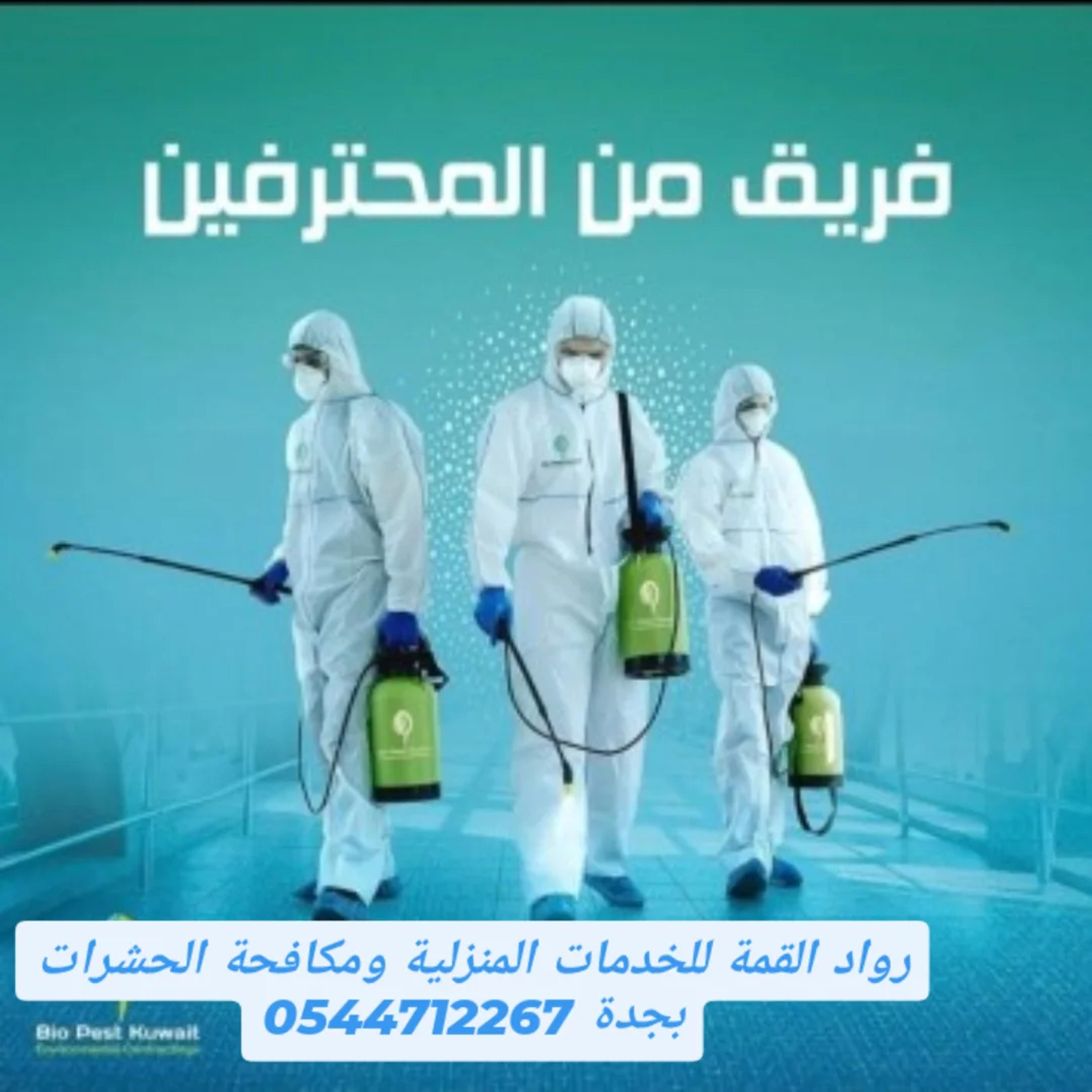 e0e4285d-c272-4921-8311-2c9374ffab0f.webp