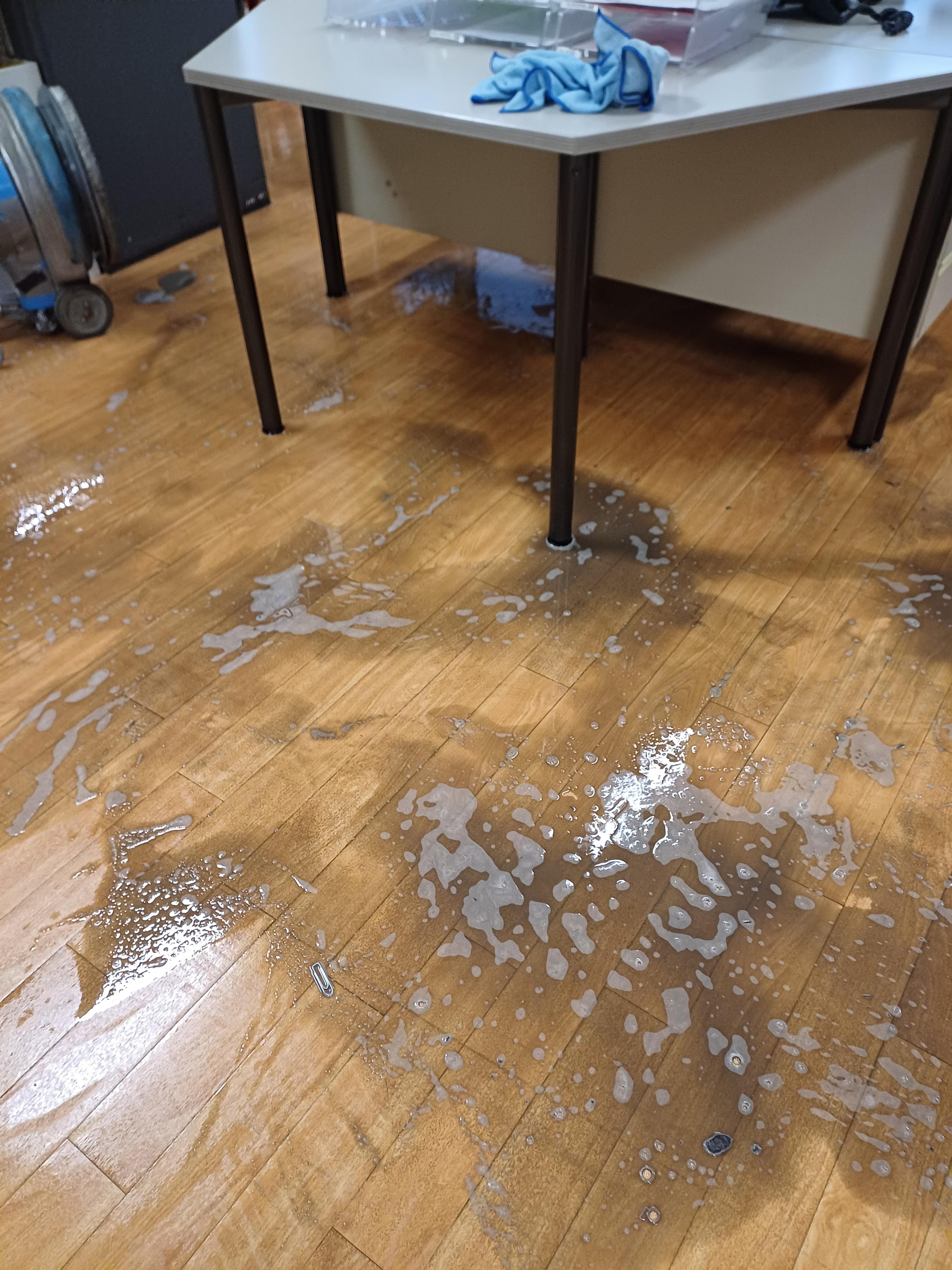 e1799695-c5b6-4a36-817d-ae09cc54958d.jpeg