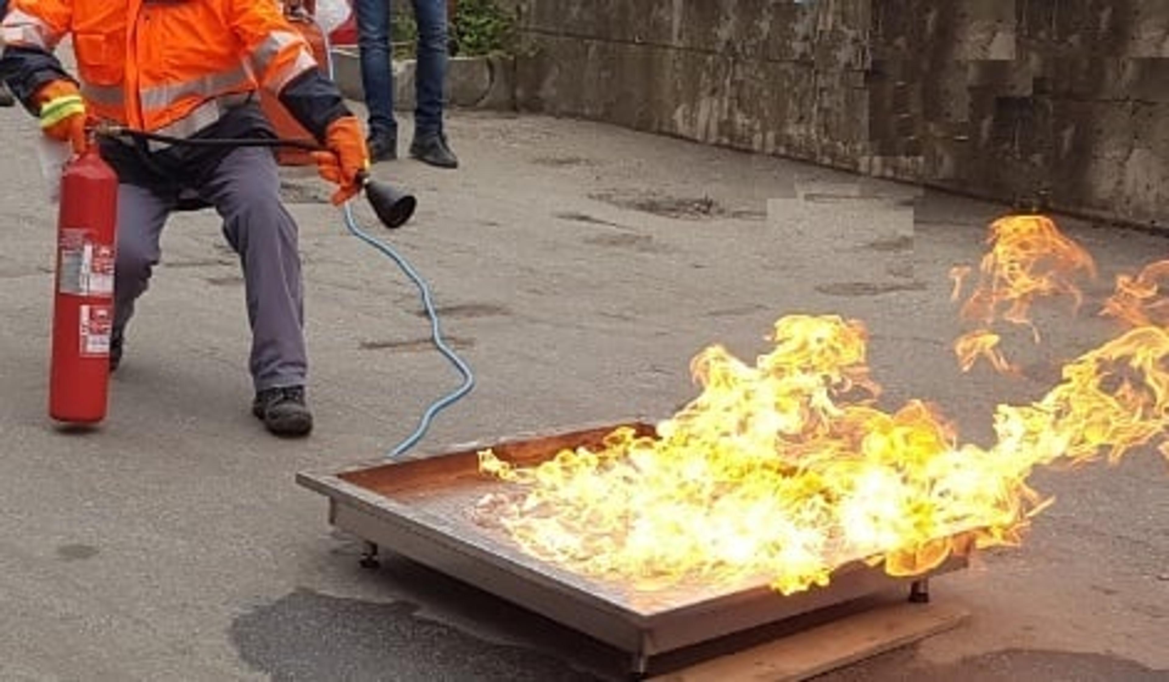 e1e12aba-2faf-4ffa-8d28-0279169ef6d8.jpeg