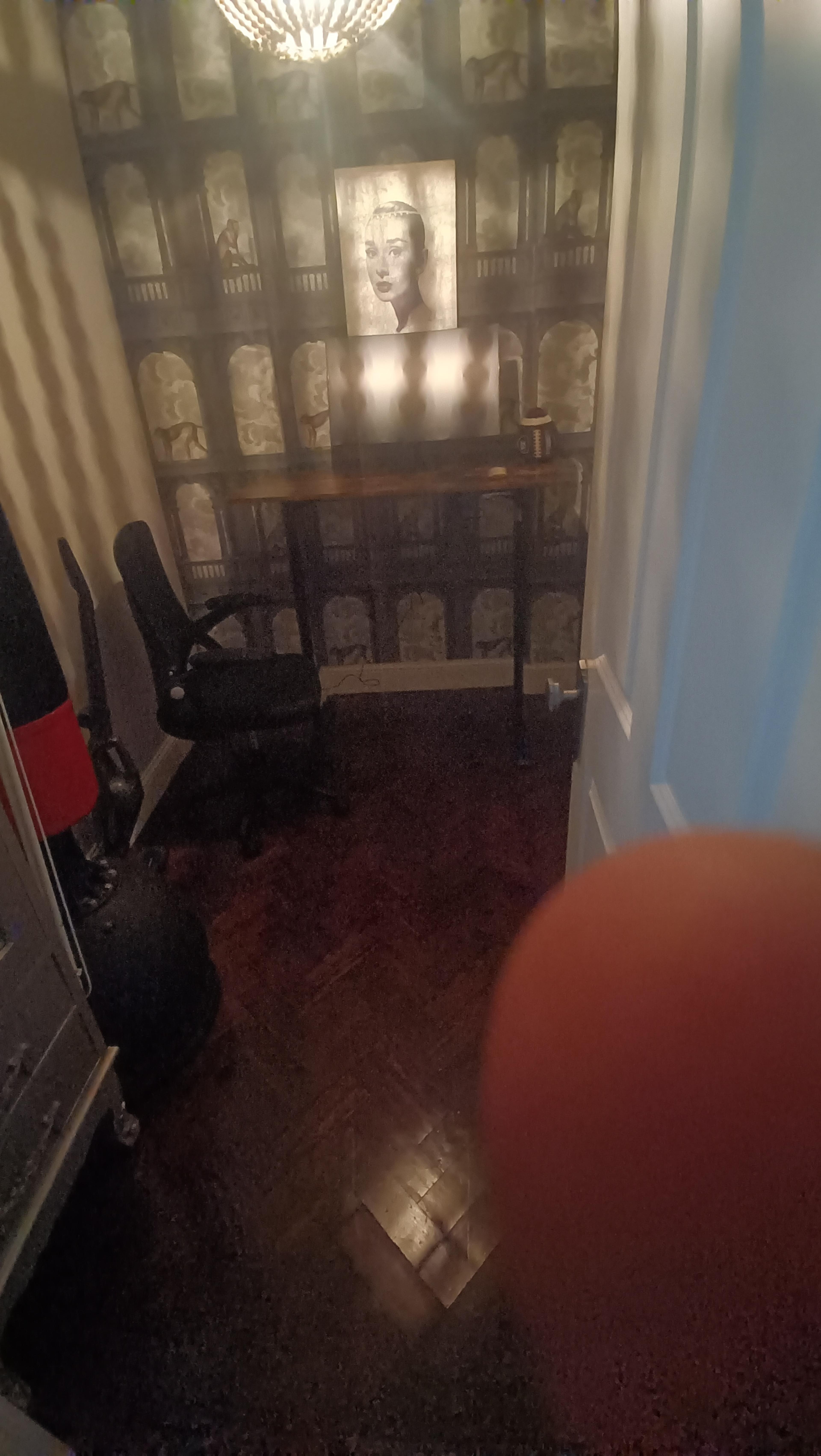 e24655e1-ee7f-43c8-ac90-8eada017d2b0.jpeg
