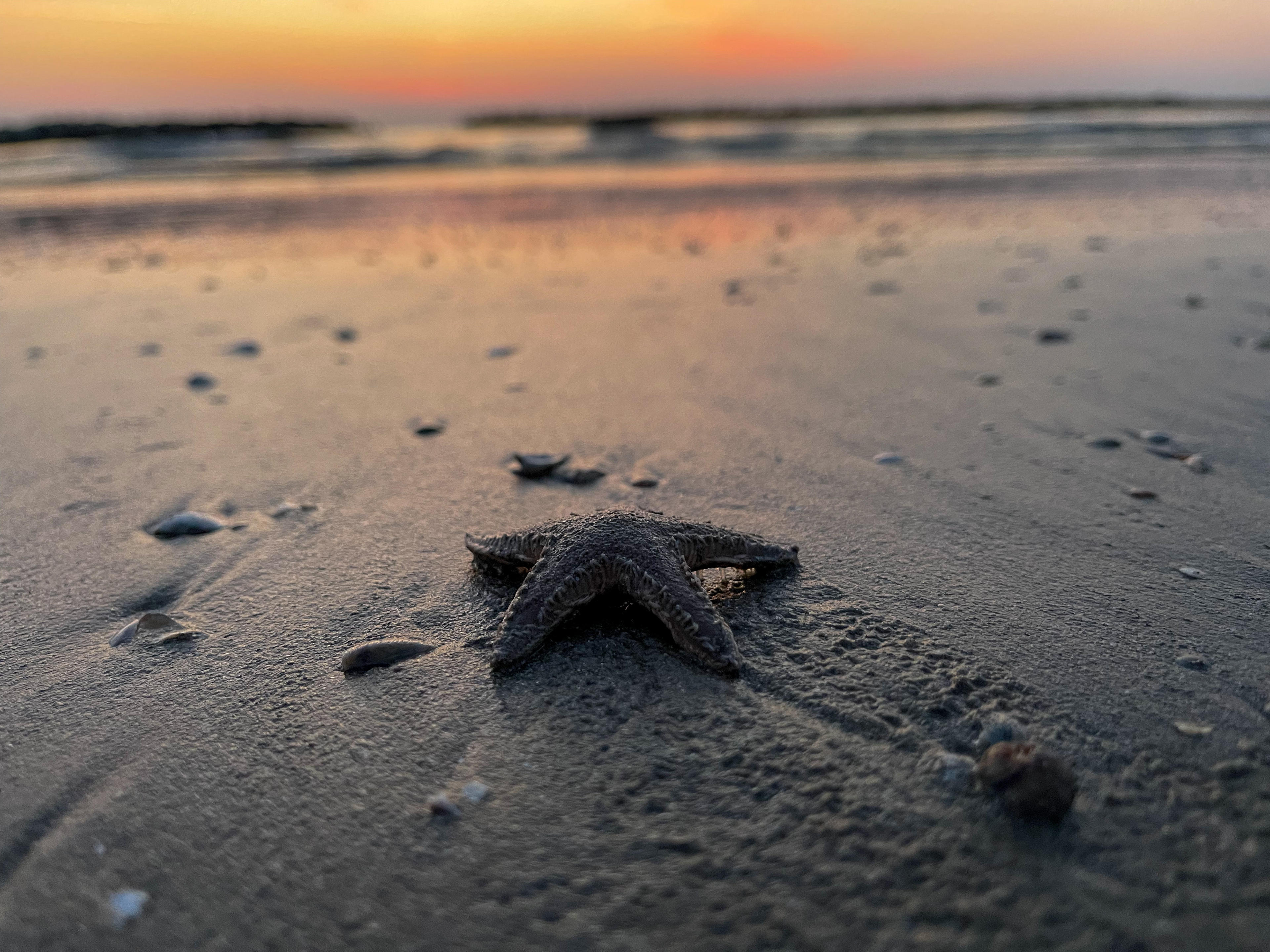 e28397f8-d134-497c-a0e5-5ed9db4b645a.jpeg