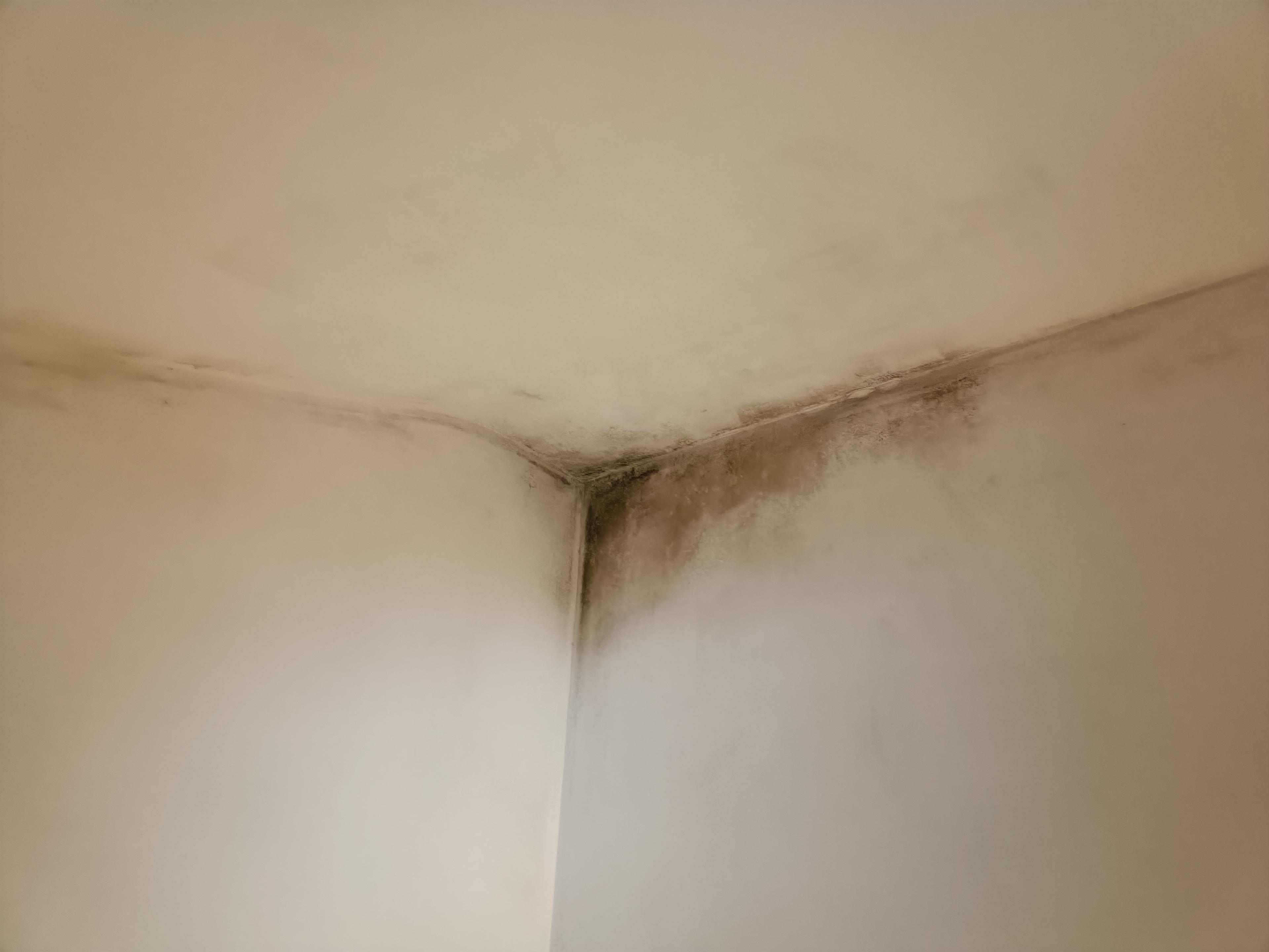 e2e38b38-58df-45a5-ba73-d03a6881849f.jpeg