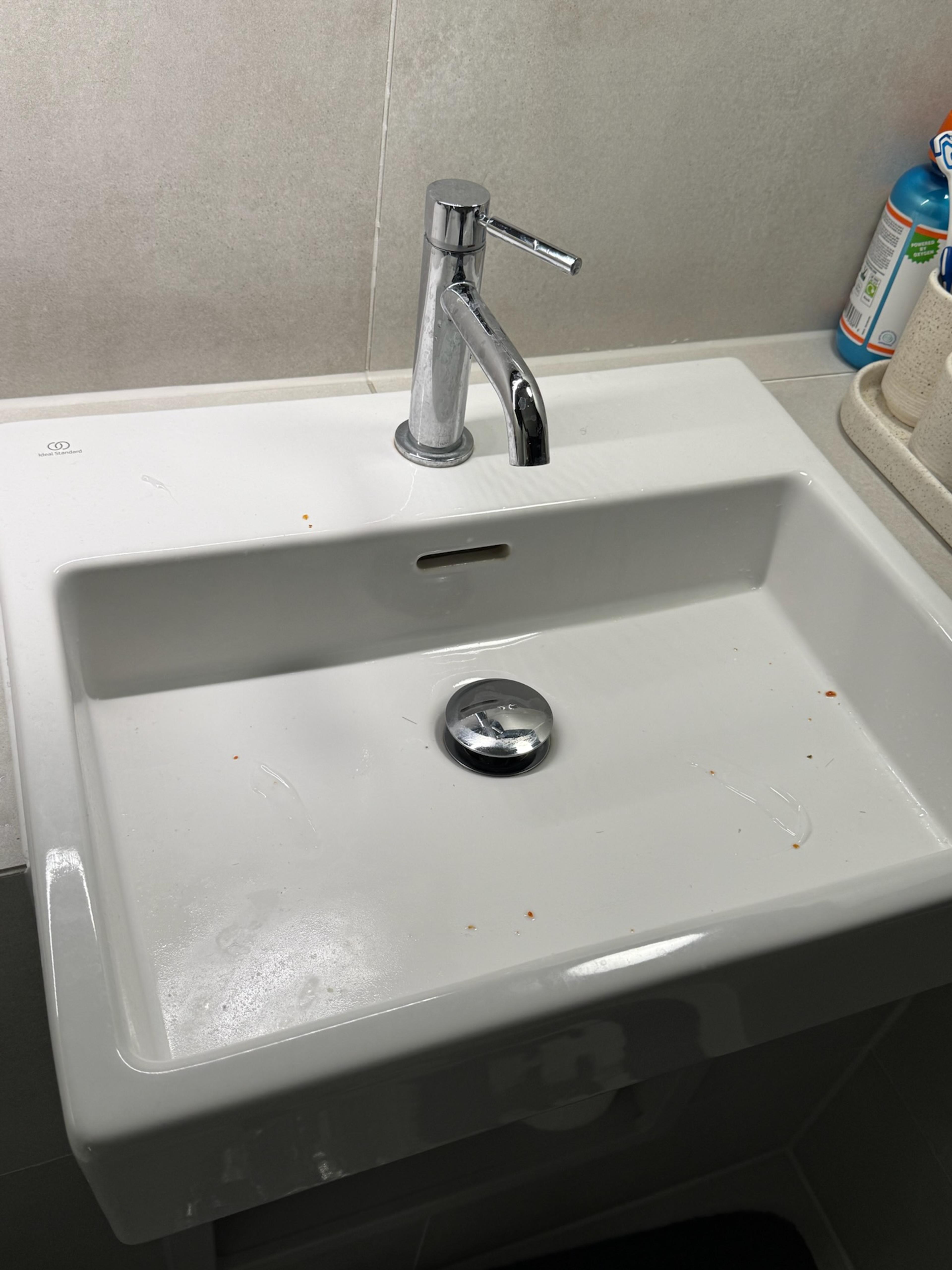 e2f5aa05-71cf-49b2-b1ad-3f722d641a0d.jpeg