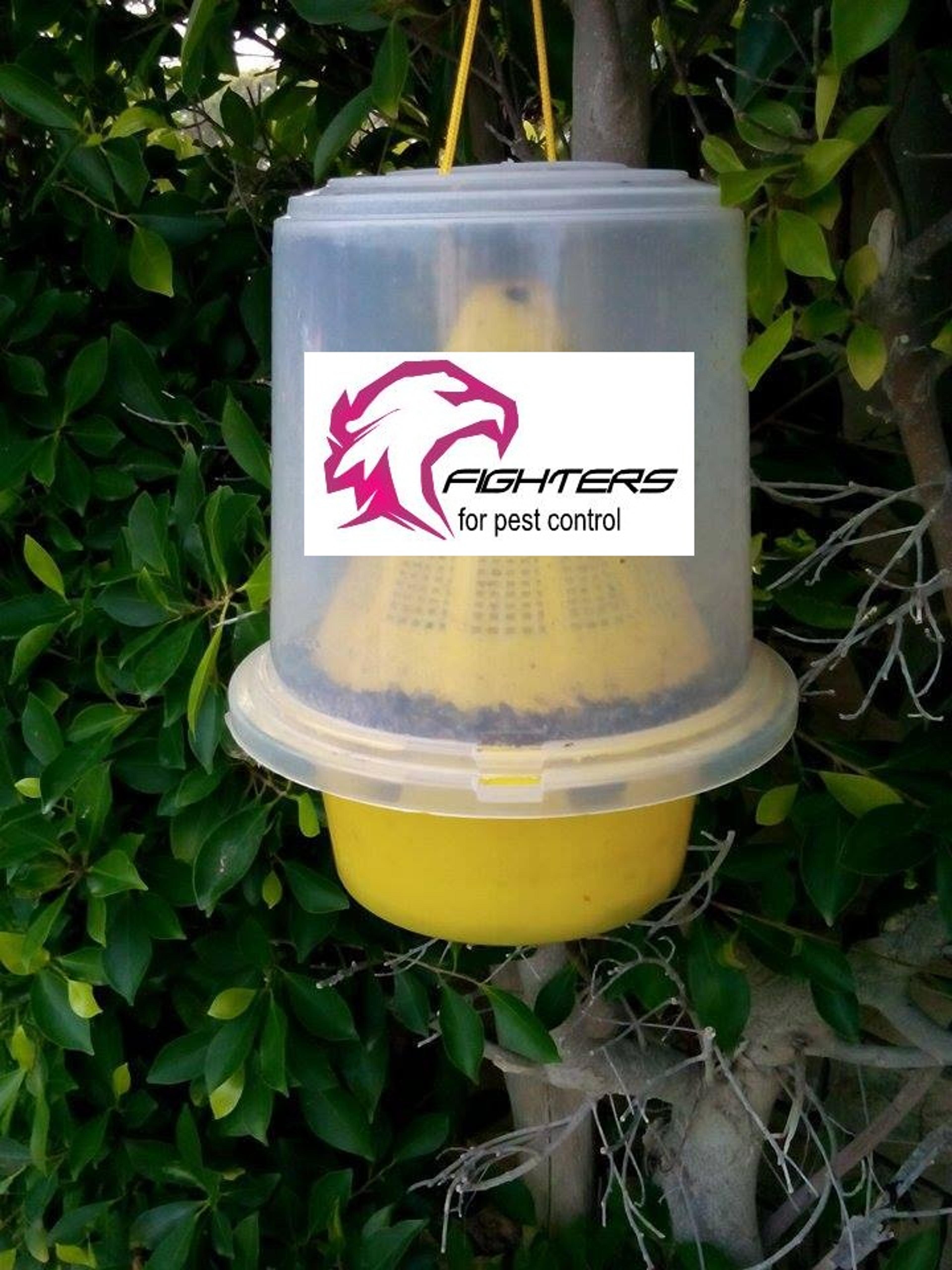 e314c117-faed-44dd-b675-2aa72d3e6e39.jpeg
