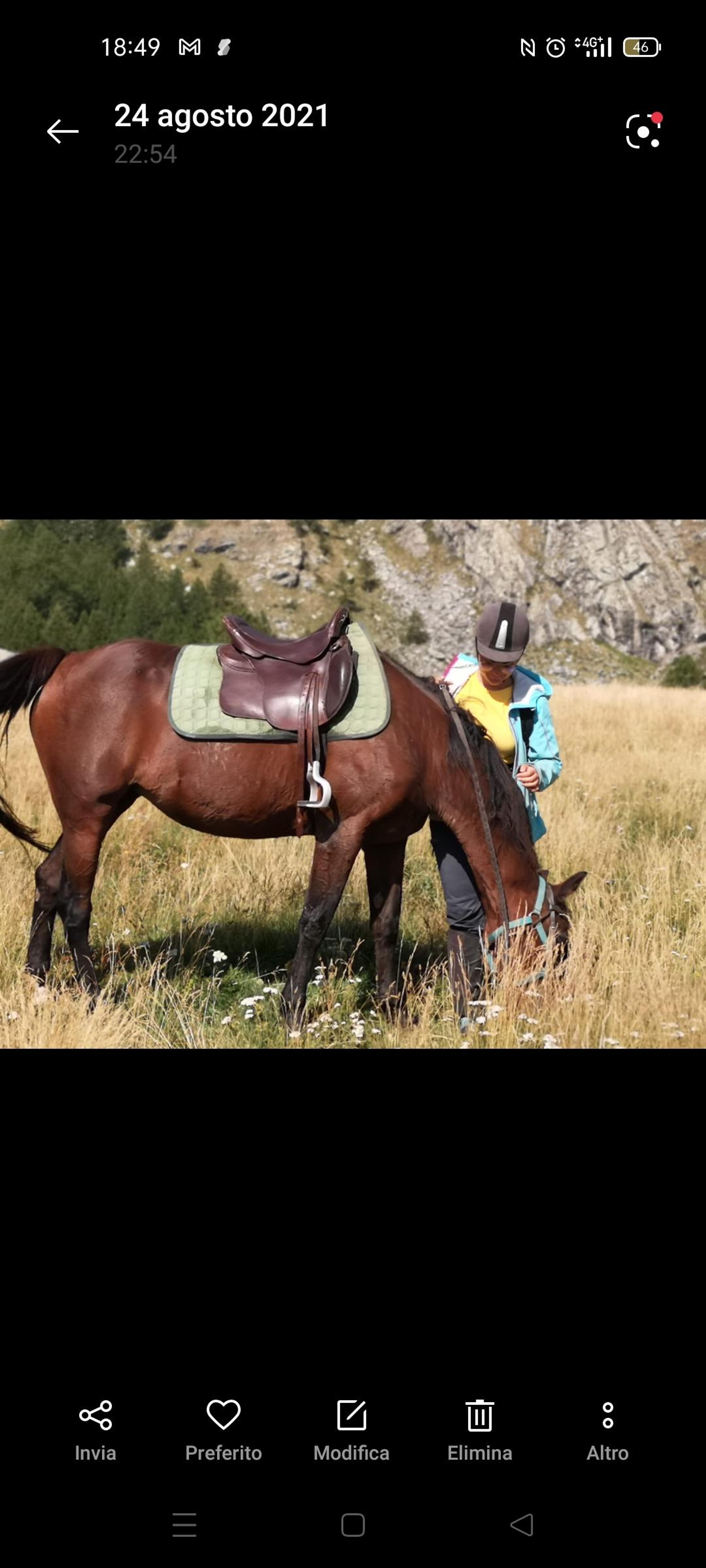 e3a47457-3c6a-4e0d-935a-36373287dda1.jpeg