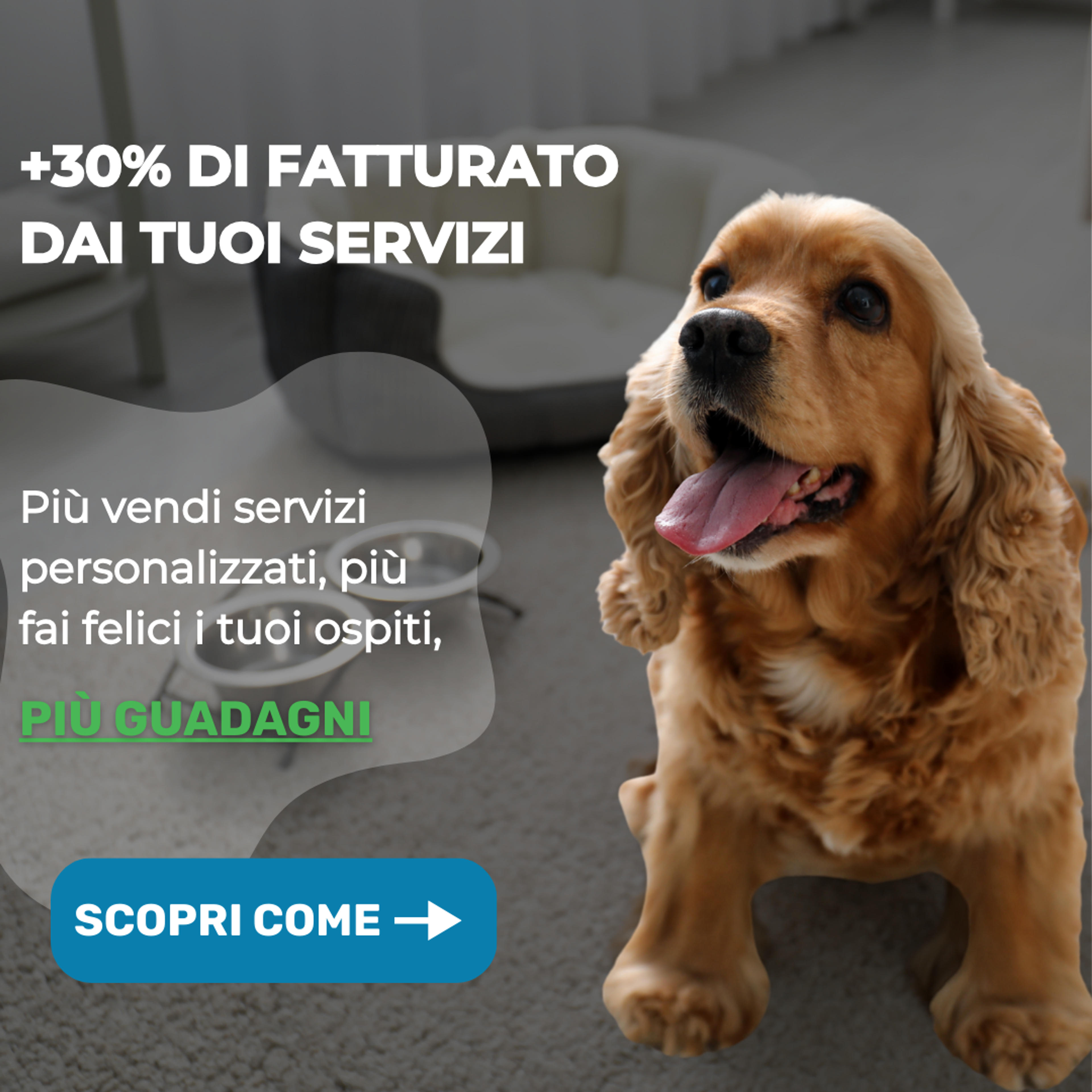 e4666c49-ce55-4ef0-bd9a-988a8b54e932.png