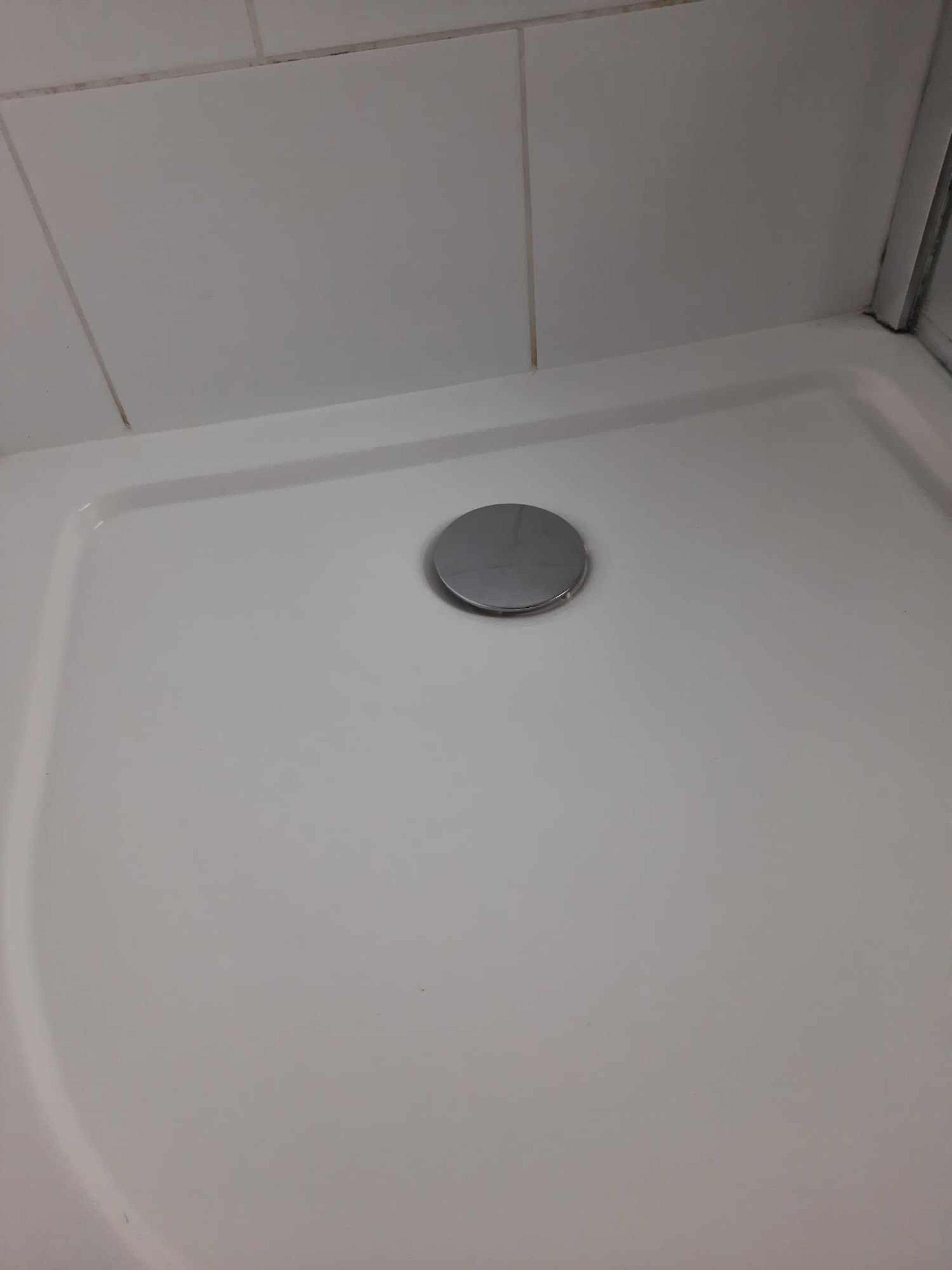 e4aa5467-8034-429c-bbdd-32af52df3bdd.jpeg