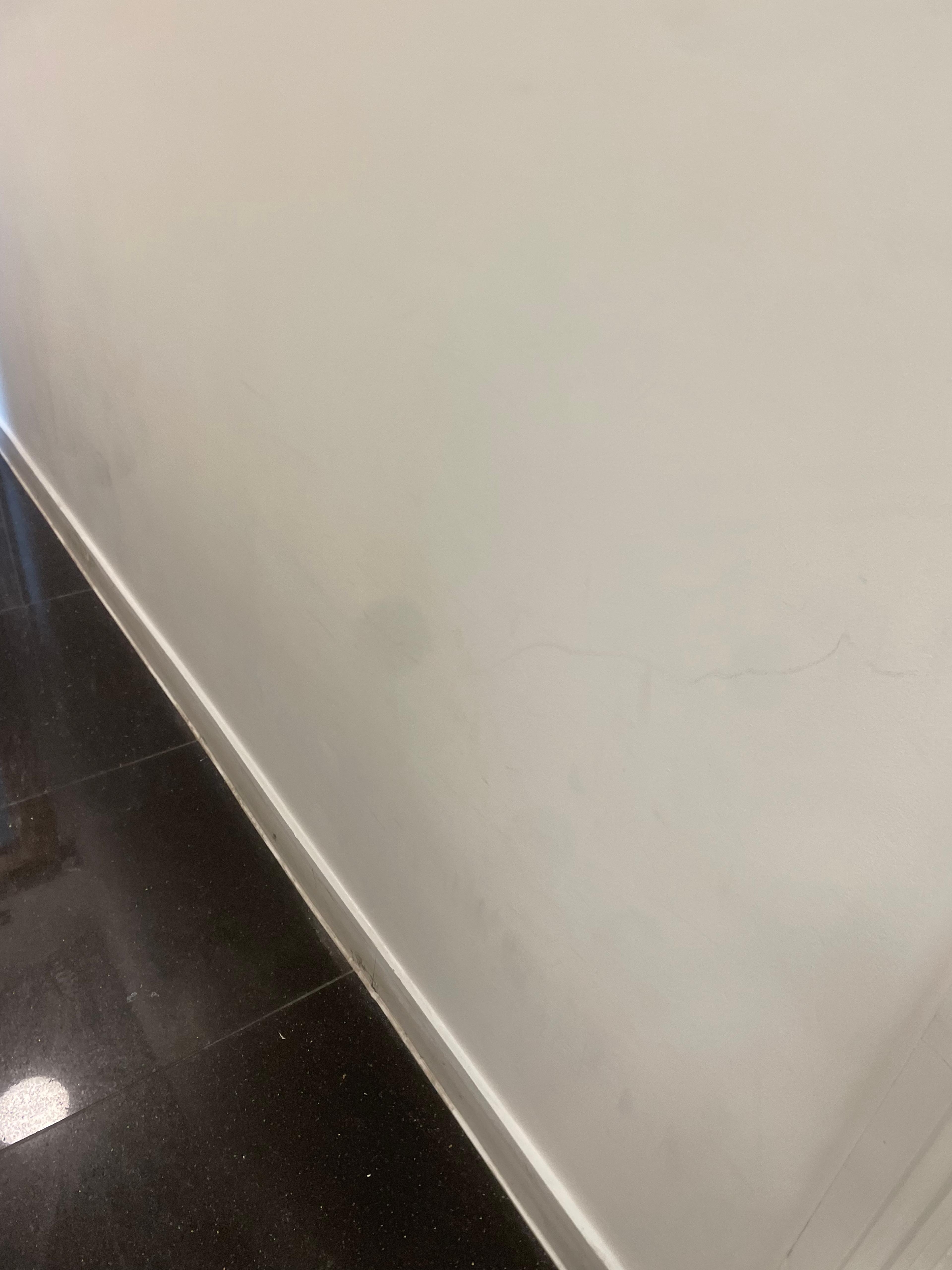 e4b72f08-6557-43b6-b7b0-d070be387ec9.jpeg