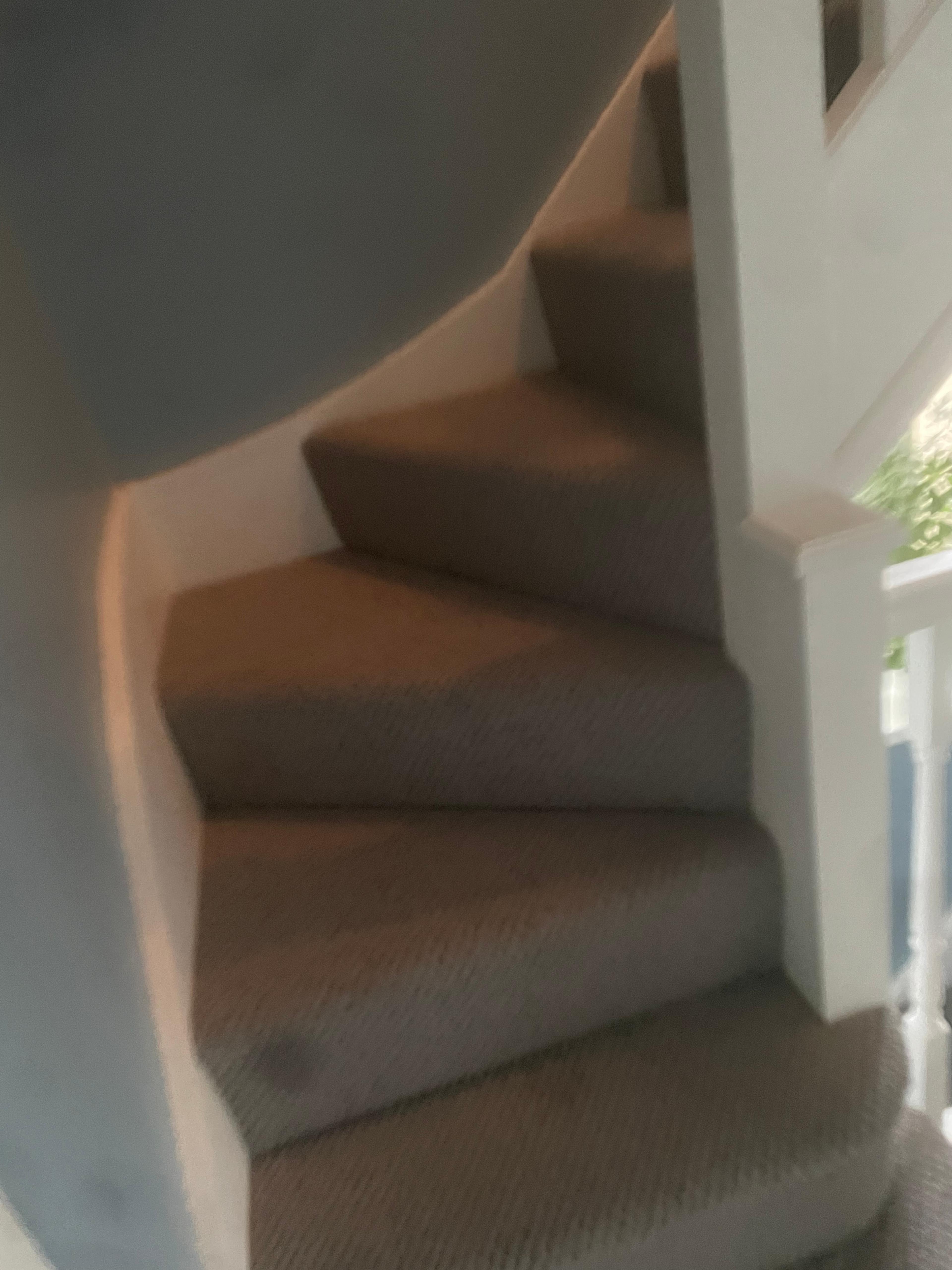 e656ed5e-bb02-43af-ba86-f3f6c4ab7270.jpeg