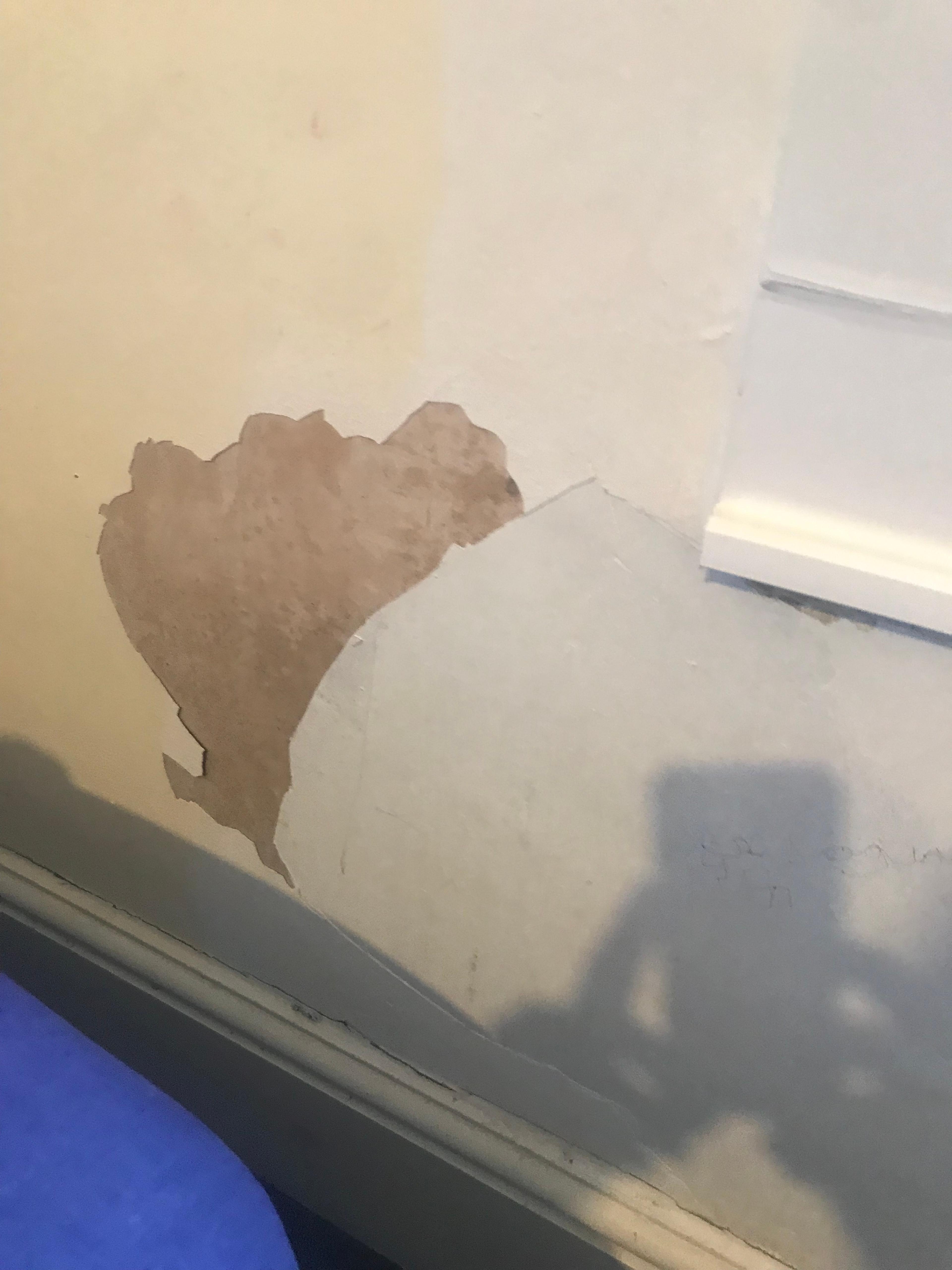 e6748127-8cda-403e-b4e0-d6a2ef621f08.jpeg