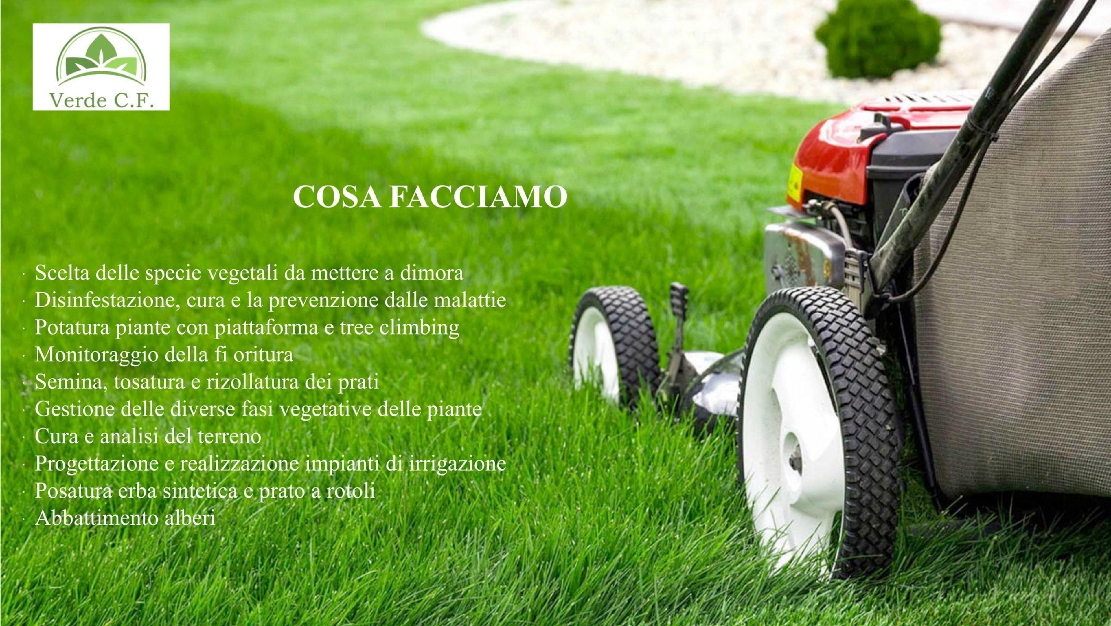 e6da048c-abf1-41a9-8293-1aa59a27b143.jpeg
