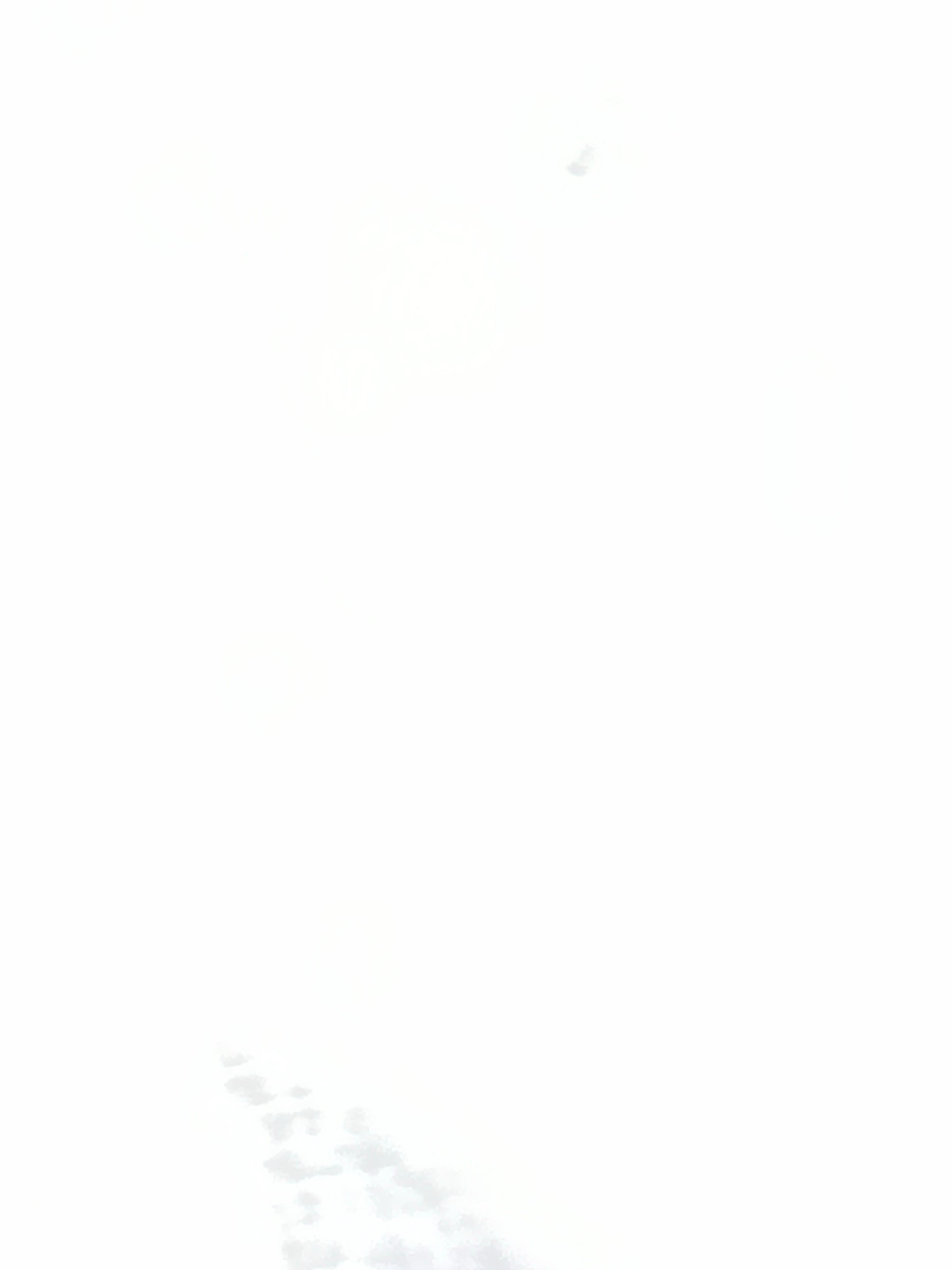 e731a3cd-e655-4349-823d-1f0acefca2b6.jpeg