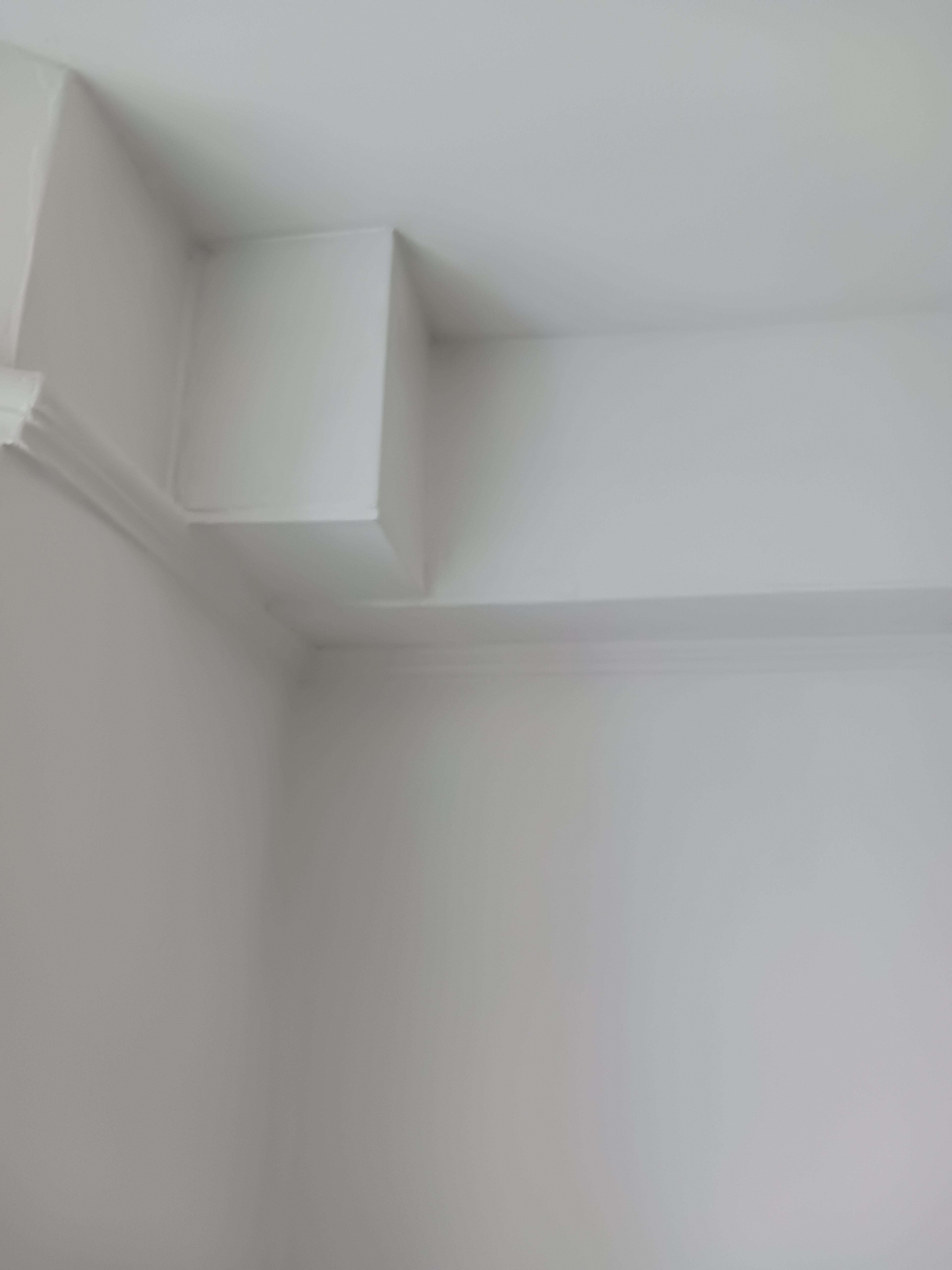 e7752d23-9a5a-4a17-8604-d2a3102f0c0e.jpeg