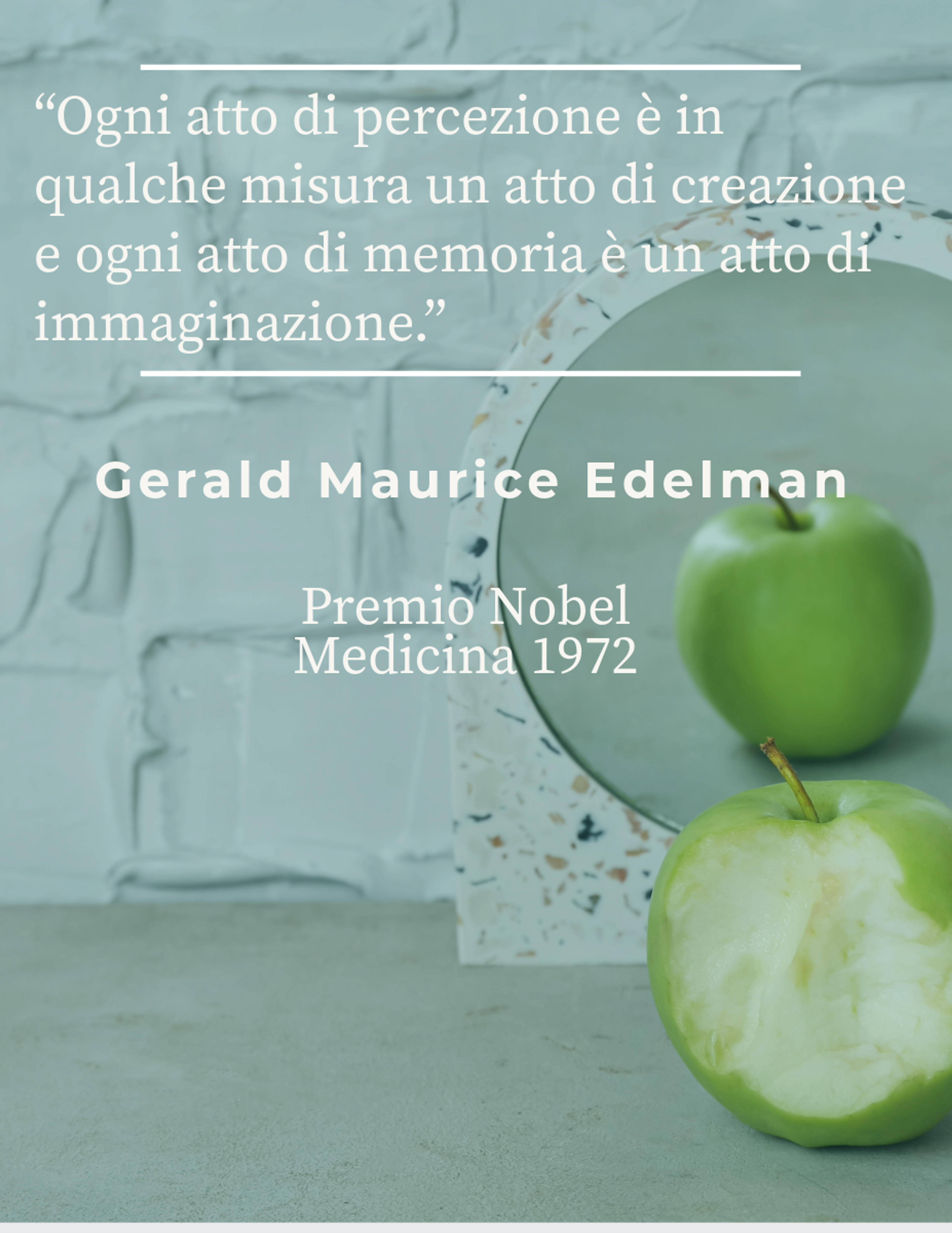 e7dd3978-ed88-49f1-8899-7c5c1de0c4b3.png