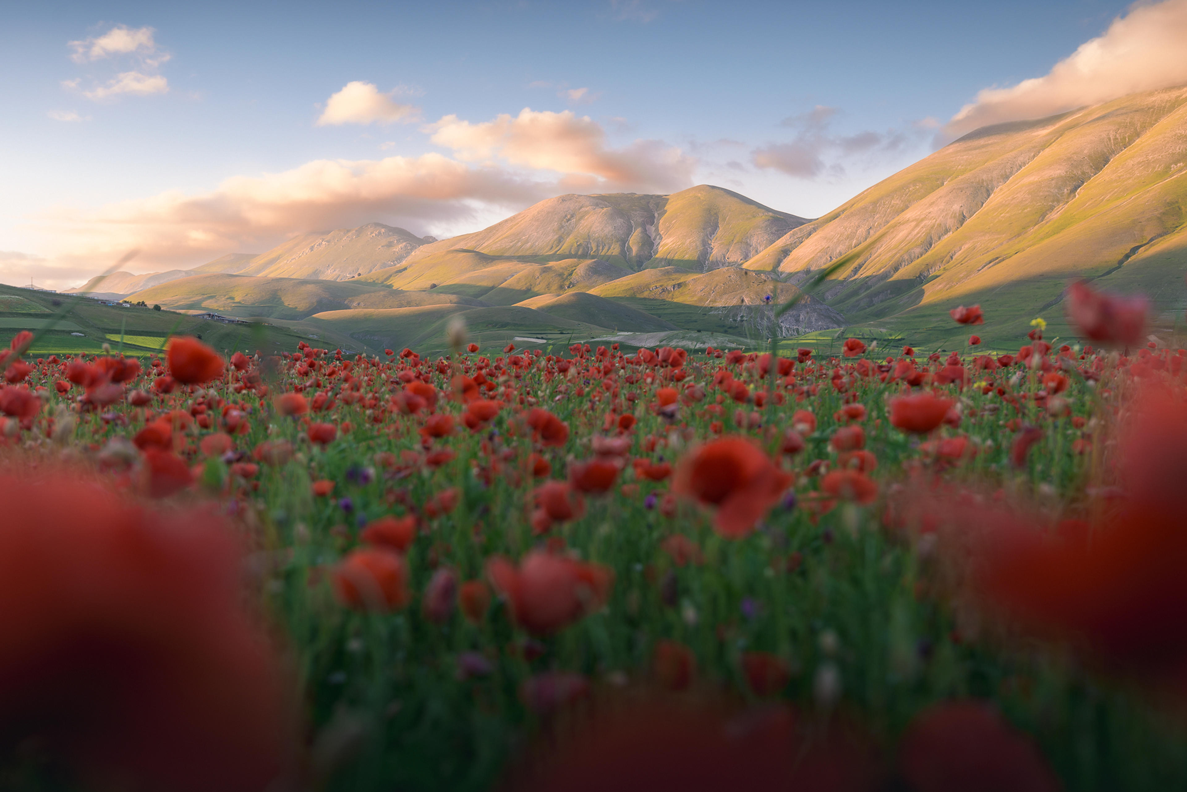 e7e4418f-3cf9-437f-83ea-6d3a766e005d.jpeg