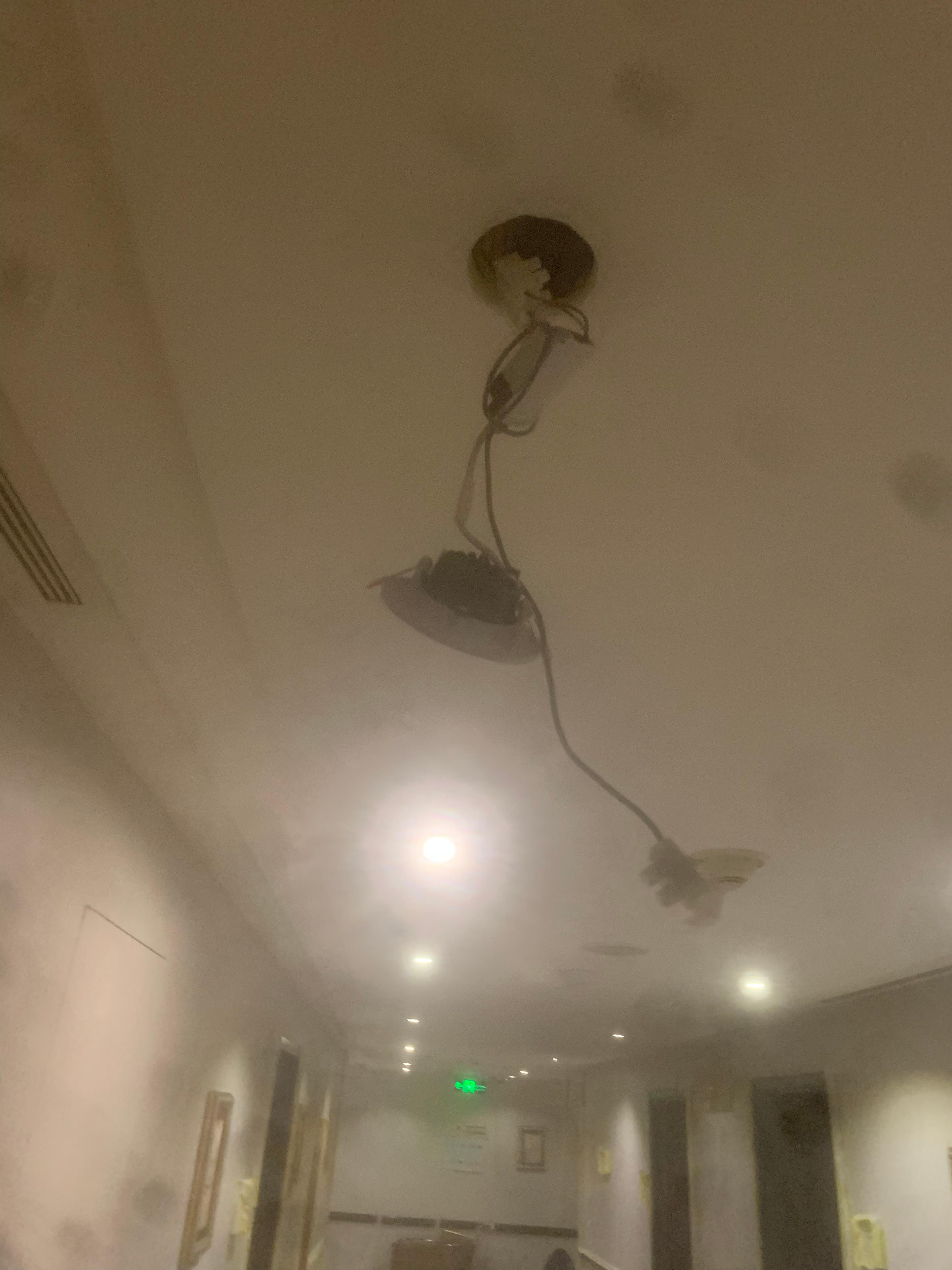e8144b4e-9e96-48eb-ad76-69c3a29f323a.jpeg