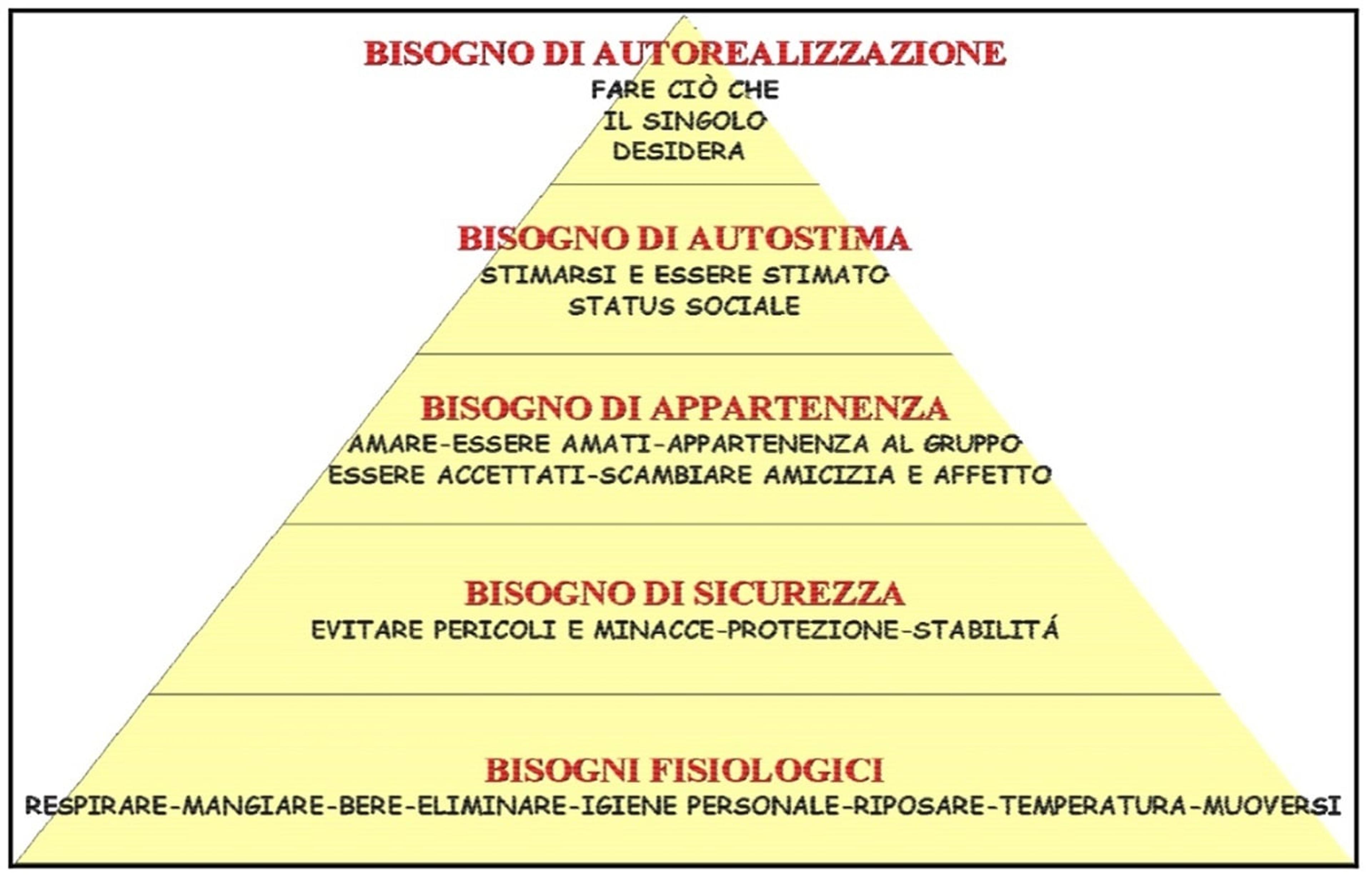 e81ad495-7283-4b9f-8231-37879a61cf11.jpg