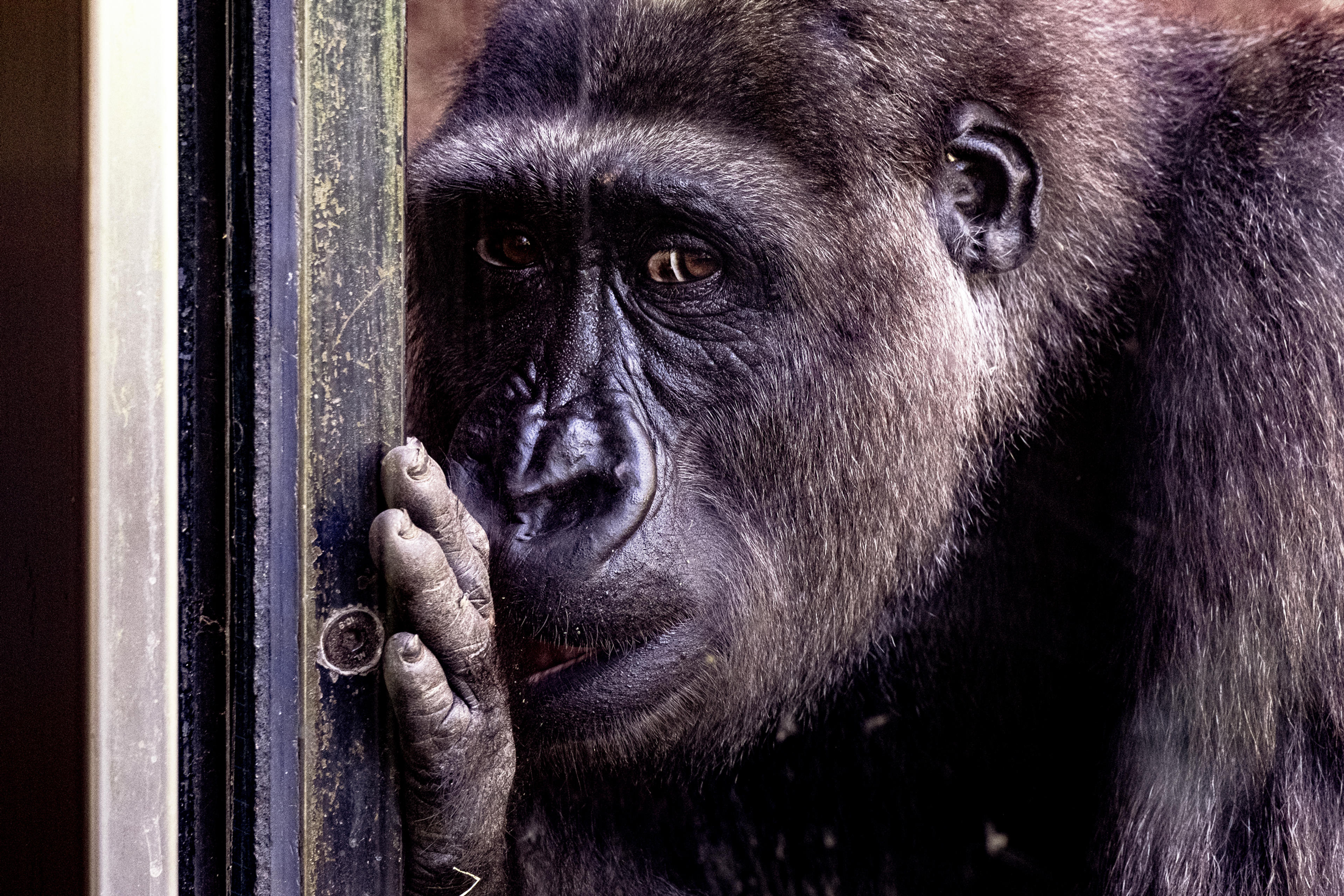 e8389039-73cb-4a8c-88d3-f51d8562ff4f.jpeg