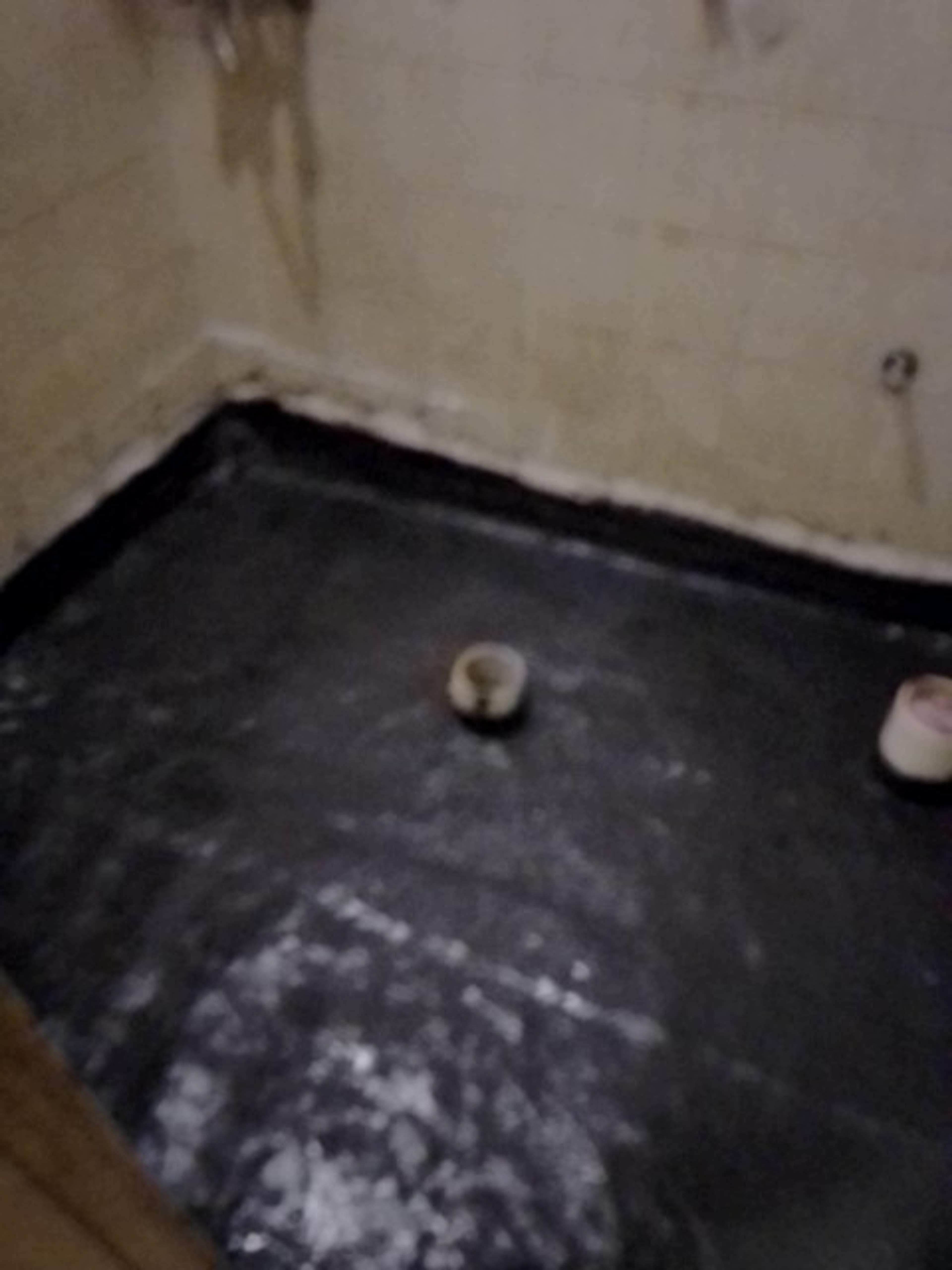 e89ab137-b7ed-450c-a0ba-0aab75027bd7.jpeg
