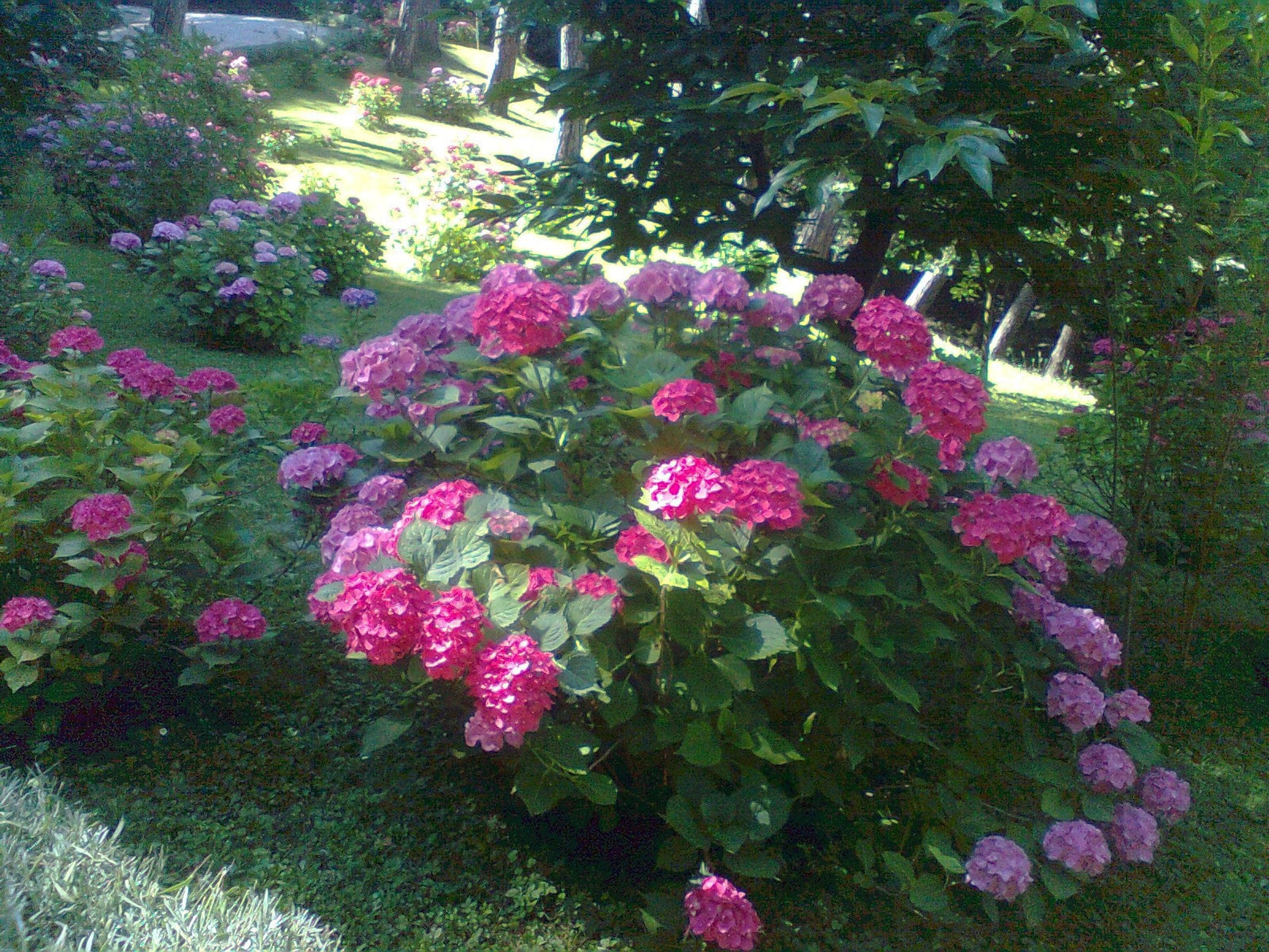 e925e8a1-d3ba-4f5f-a53c-89e0831bb662.jpg