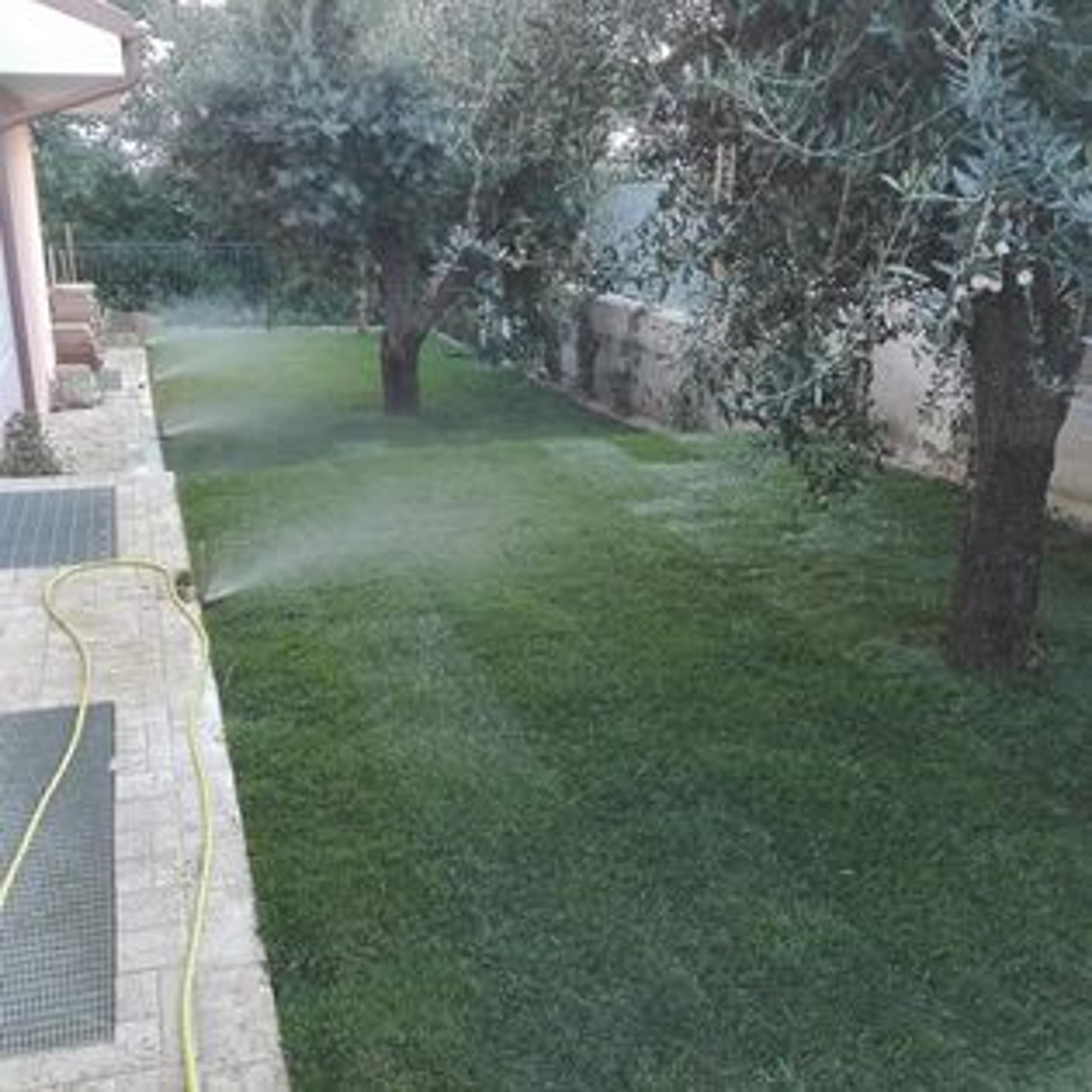 e95075d9-694e-41f4-ab37-50f84839508c.jpeg