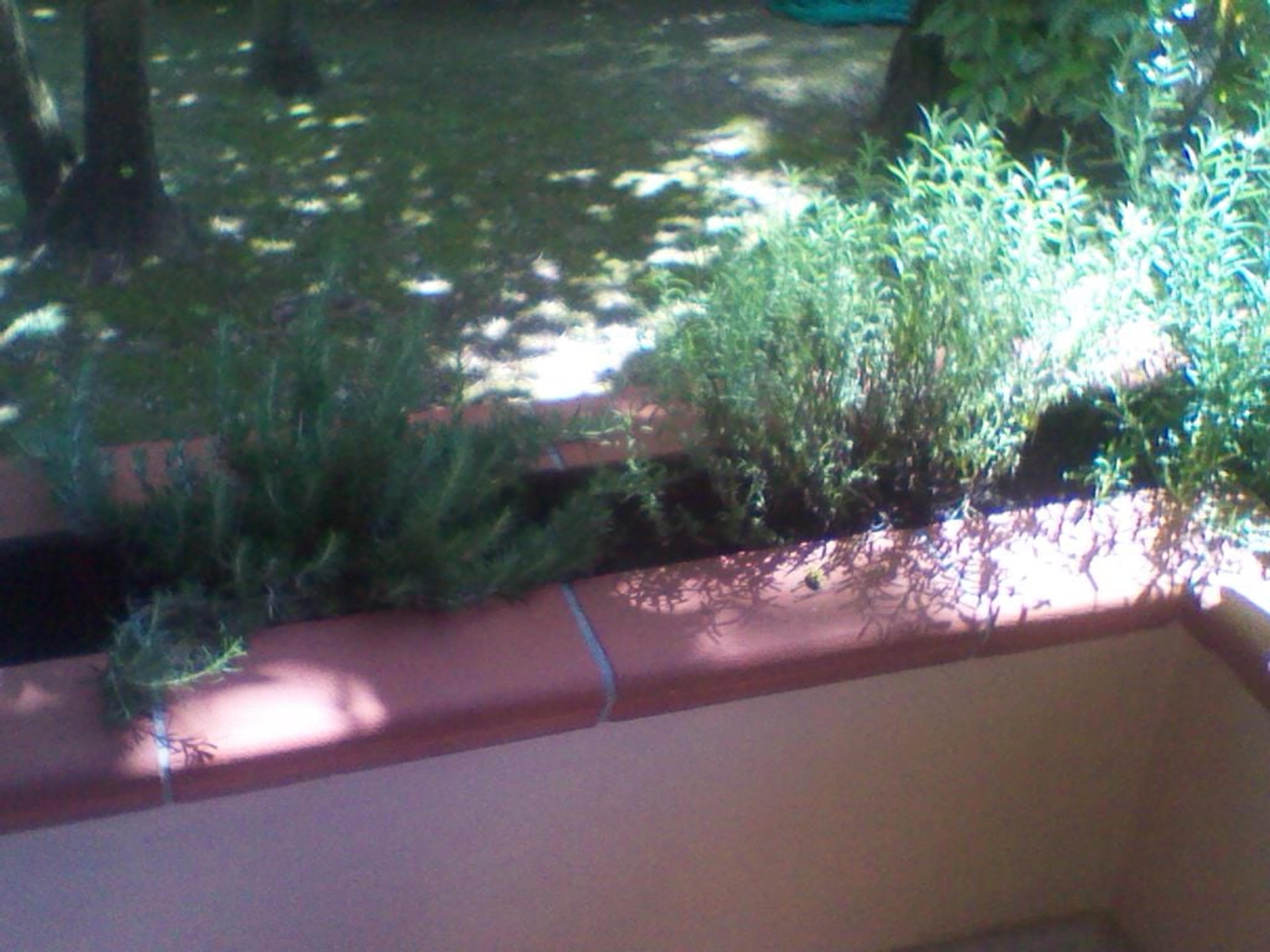 ea0b86ca-86d1-4a61-a044-04dbe542a9a1.jpeg