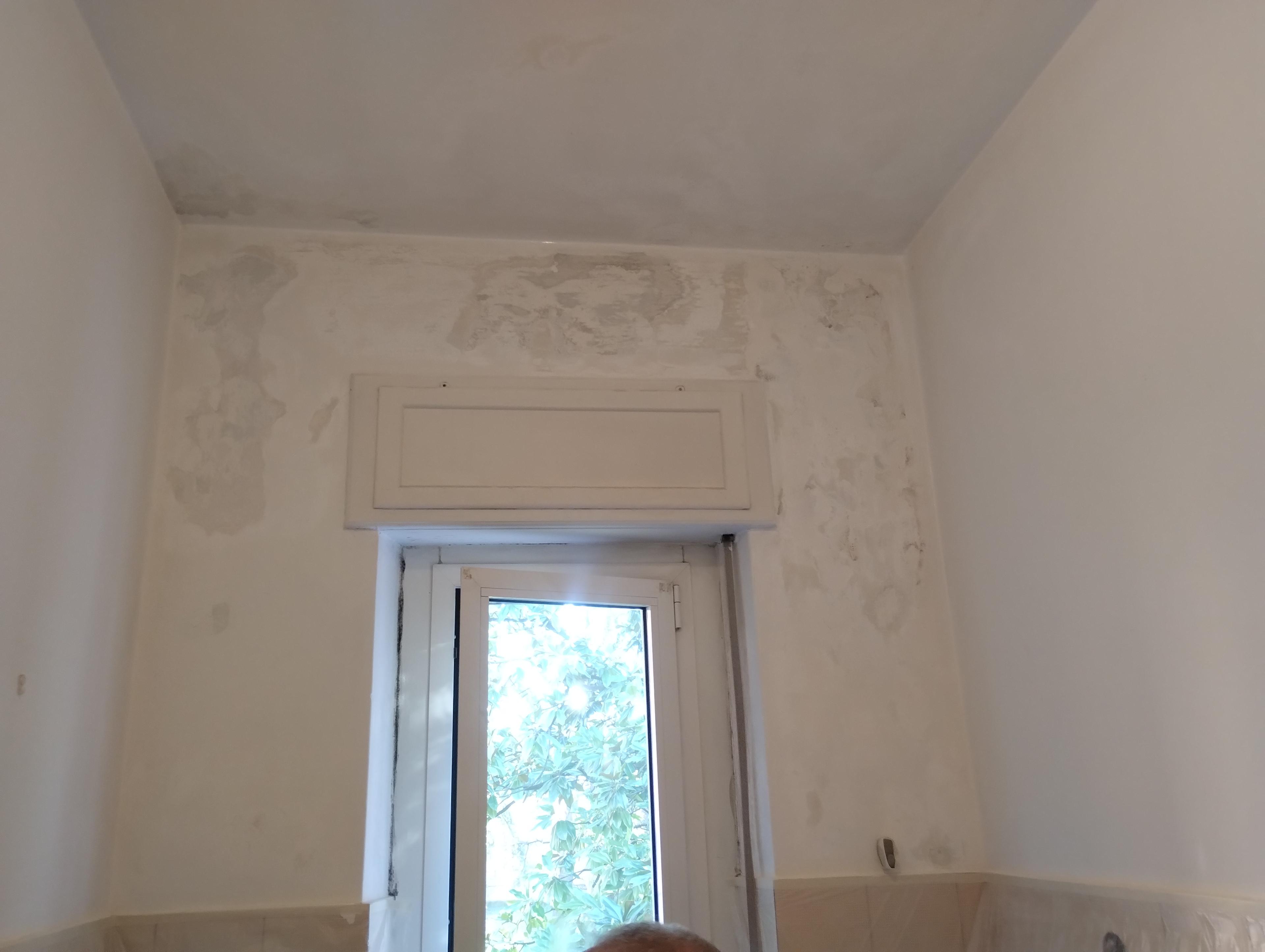 ea1ac9c6-209b-4010-ba10-df46463ddfed.jpeg